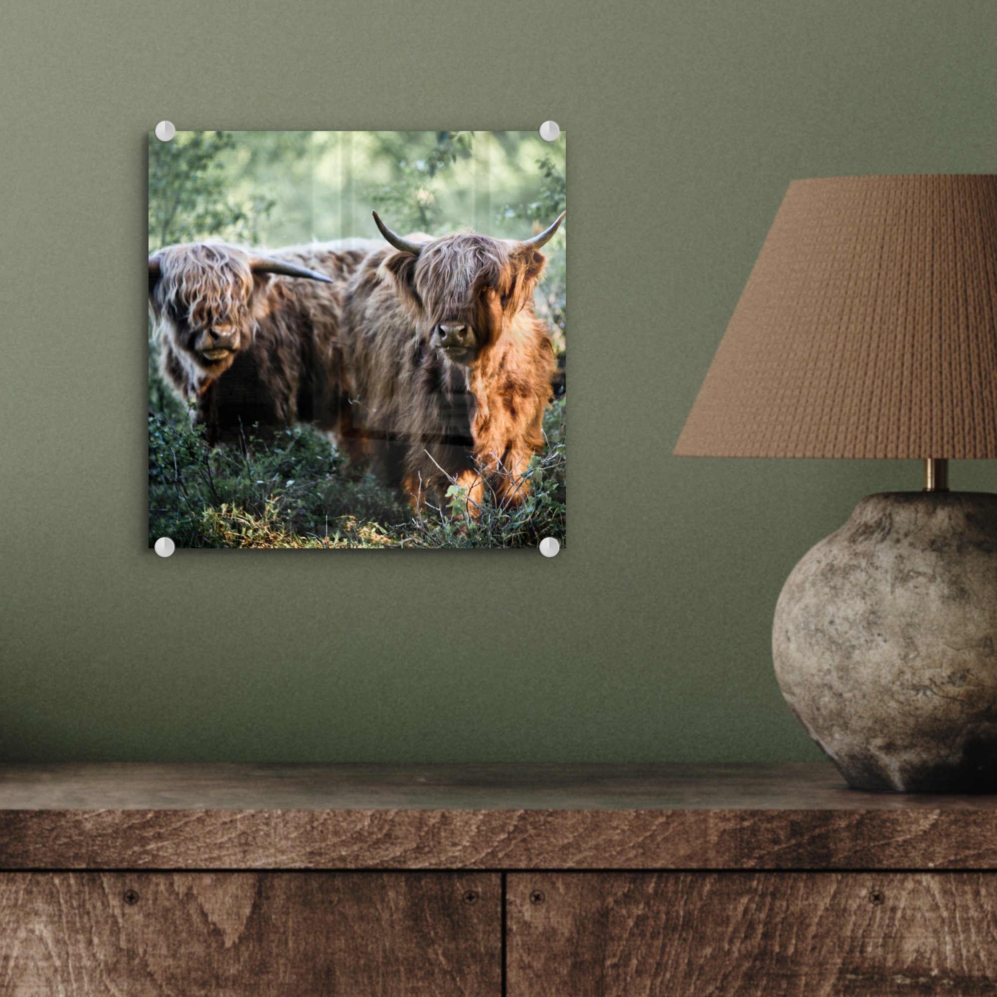 - Glas St), auf auf Bilder (1 - Acrylglasbild Glas - Schottische Glasbilder - - Foto Highlander Tiere, Wald Wanddekoration MuchoWow Wandbild