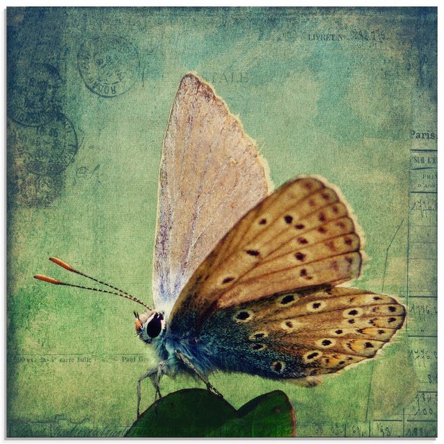 Artland Glasbild »Kleiner Schmetterling«, Insekten (1 Stück)-Otto