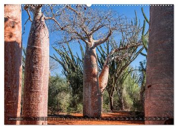 CALVENDO Wandkalender Zauberwald Ifaty · Traumhafte Baobabs in Madagaskar (Premium, hochwertiger DIN A2 Wandkalender 2023, Kunstdruck in Hochglanz)