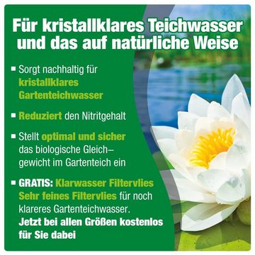 AQUALITY Gartenpflege-Set BIO-Teichklärer Gratis 1 Klarwasser-Filtervlies, Entfernt grünes & trübes