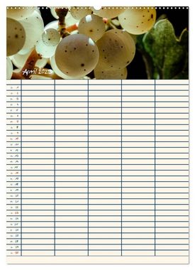 CALVENDO Wandkalender Rheingau - Riesling Trauben (Premium, hochwertiger DIN A2 Wandkalender 2023, Kunstdruck in Hochglanz)