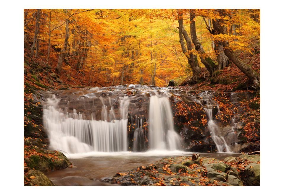 2x1.54 in halb-matt, Vliestapete m, waterfall Design Autumn landscape : forest lichtbeständige KUNSTLOFT Tapete