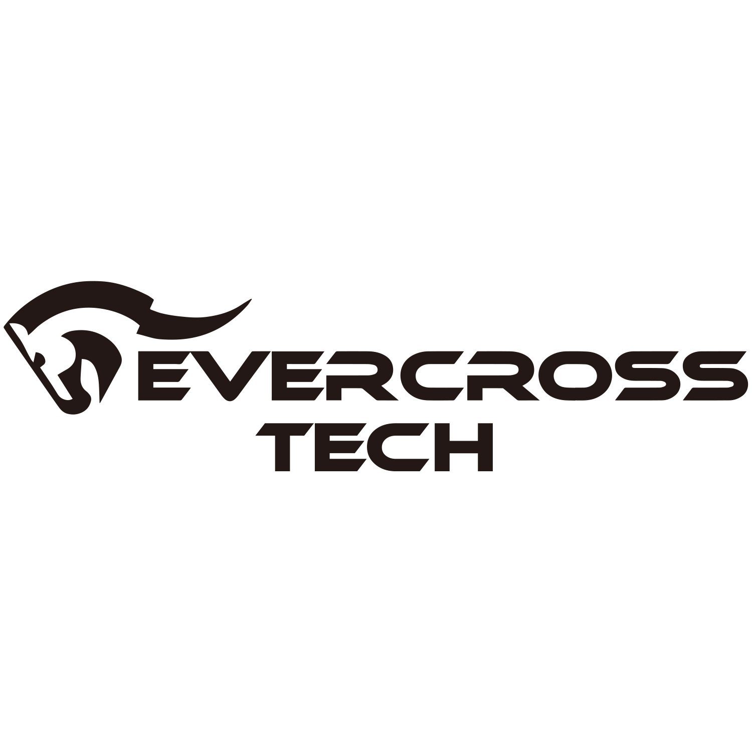 EVERCROSS TECH