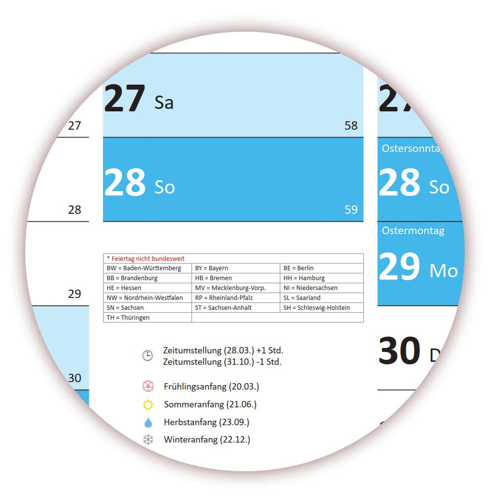 LYSCO Wandkalender Rainbow Premium Classic2 Wandplaner 2027 (gerollt), erhältlich in den Formaten DIN A2, DIN A1 und DIN A0, Rainbow Kalender Terminkalender Bür – Bild 4 von 4