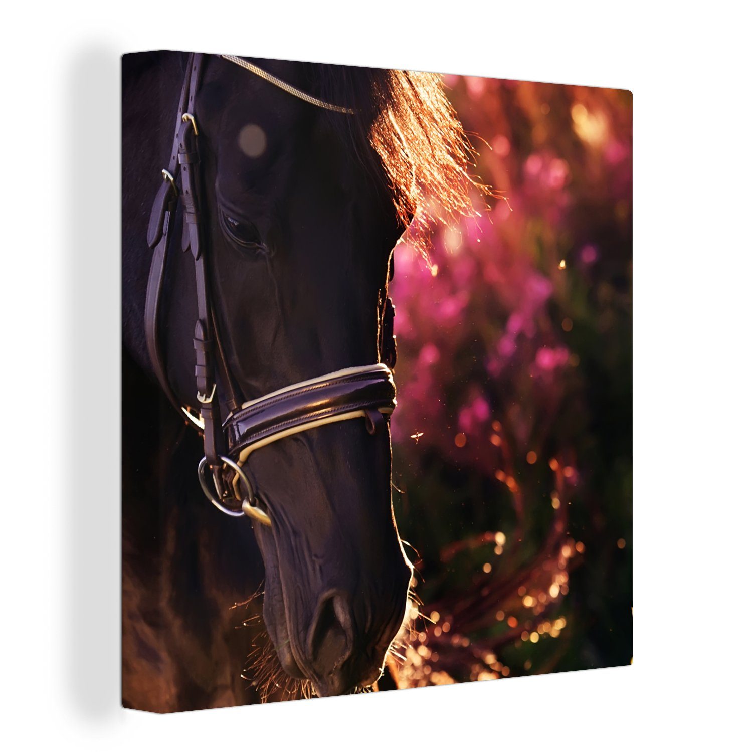 OneMillionCanvasses® Leinwandbild Pferd - Sonne - Porträt, (1 St), Leinwand Bilder für Wohnzimmer Schlafzimmer