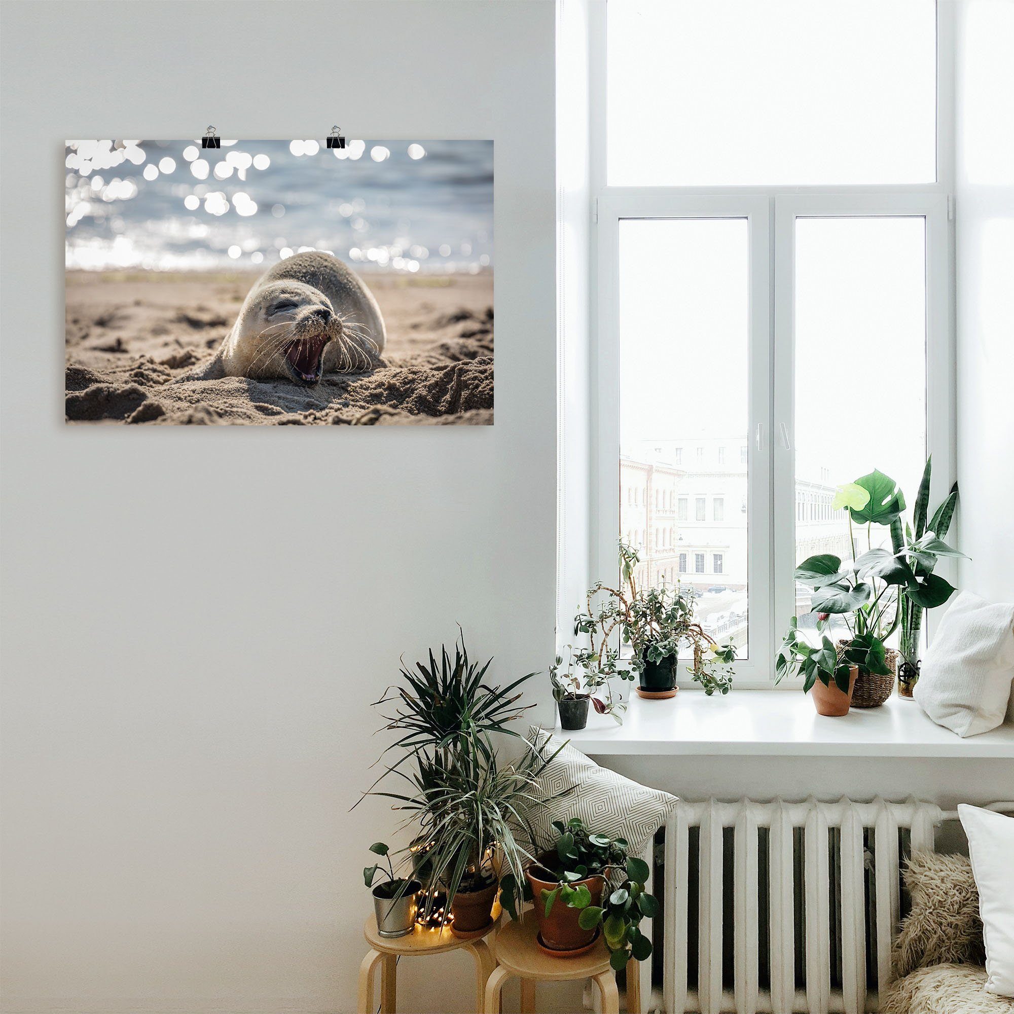 von Größen Leinwandbild, Strand (1 Wandaufkleber Wandbild List, Alubild, versch. Sylt, Poster oder Robben St), als am Artland in Baby-Robbe