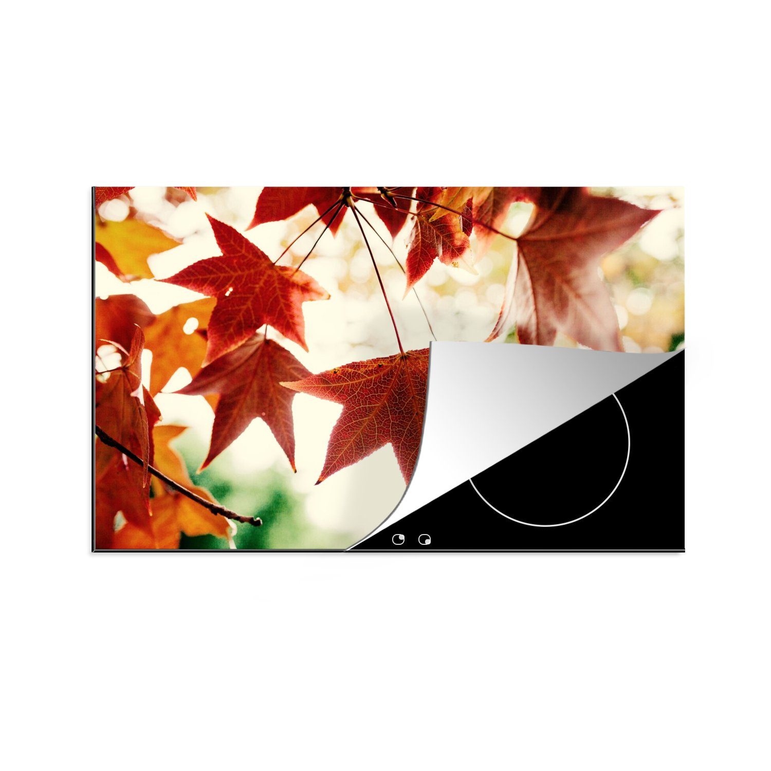 MuchoWow Herdblende-/Abdeckplatte Herbstblätter - November - Natur - Bäume, Vinyl, (1 tlg), 80x52 cm, Induktionskochfeld Schutz für die küche, Ceranfeldabdeckung