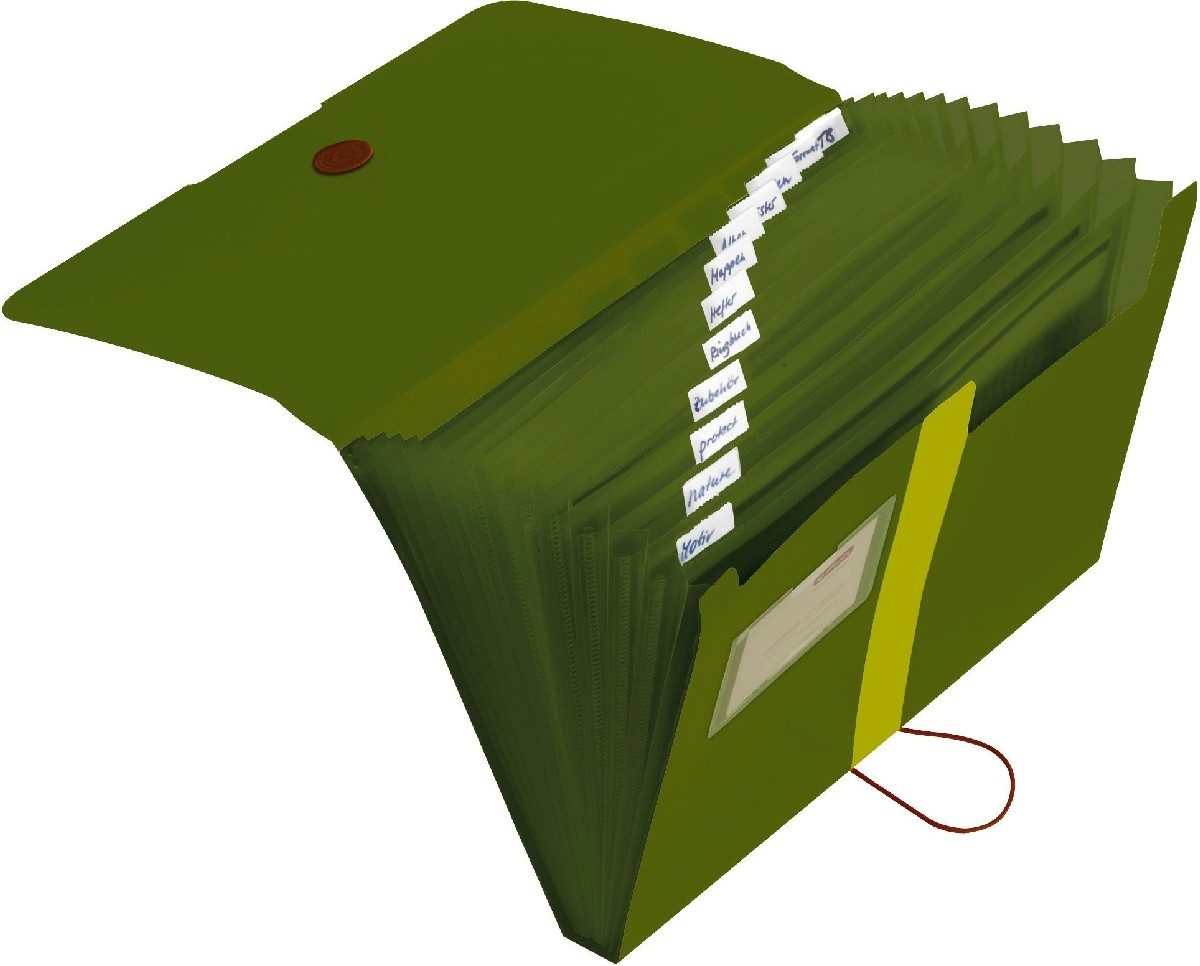 Herlitz Fächermappe Fächermappe A4 Recycling PP 12 Fächer dunkelgrün to go günstig online kaufen