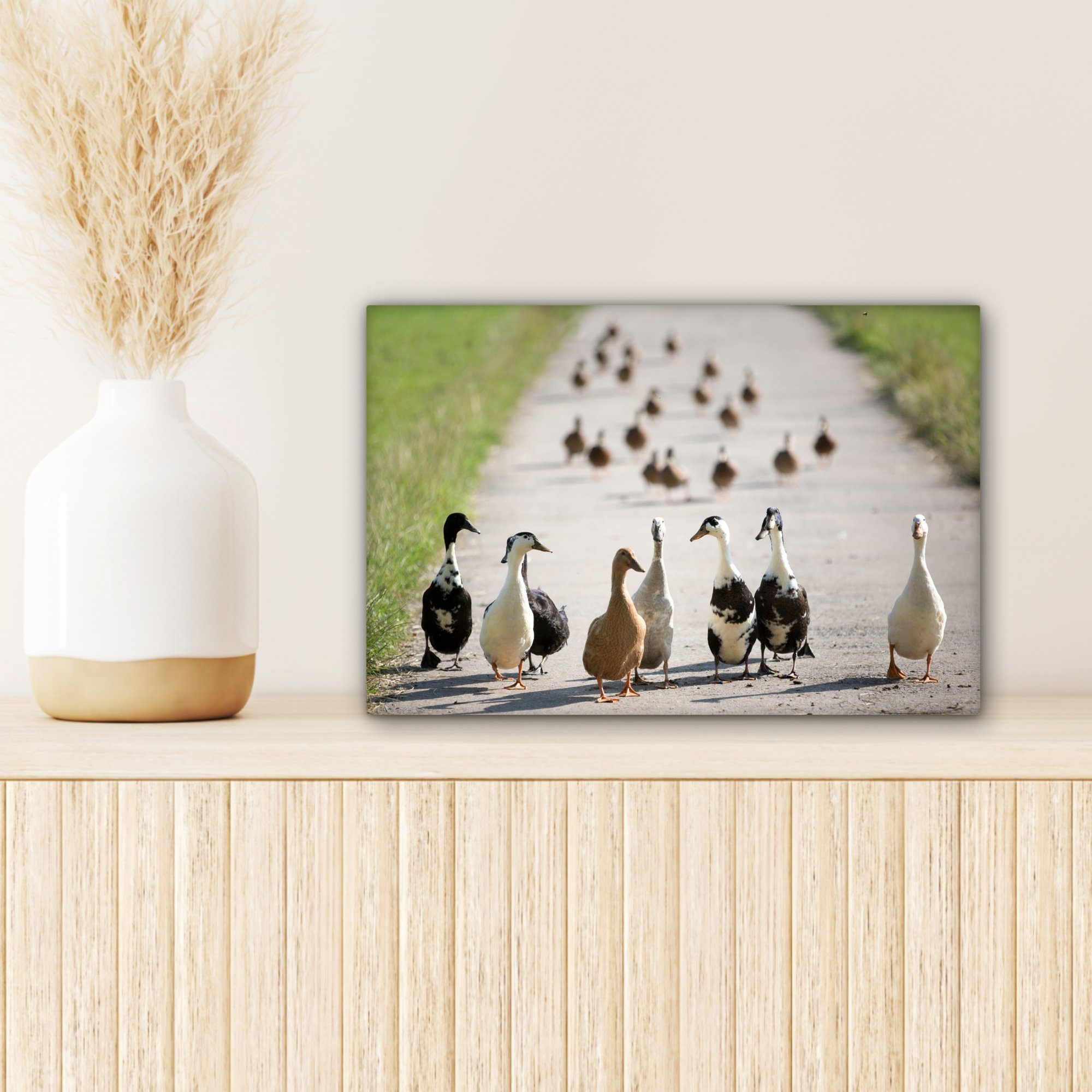 OneMillionCanvasses® Leinwandbild Ente - - Leinwandbilder, Aufhängefertig, Wandbild cm 30x20 Tiere, St), (1 Wanddeko, Straße