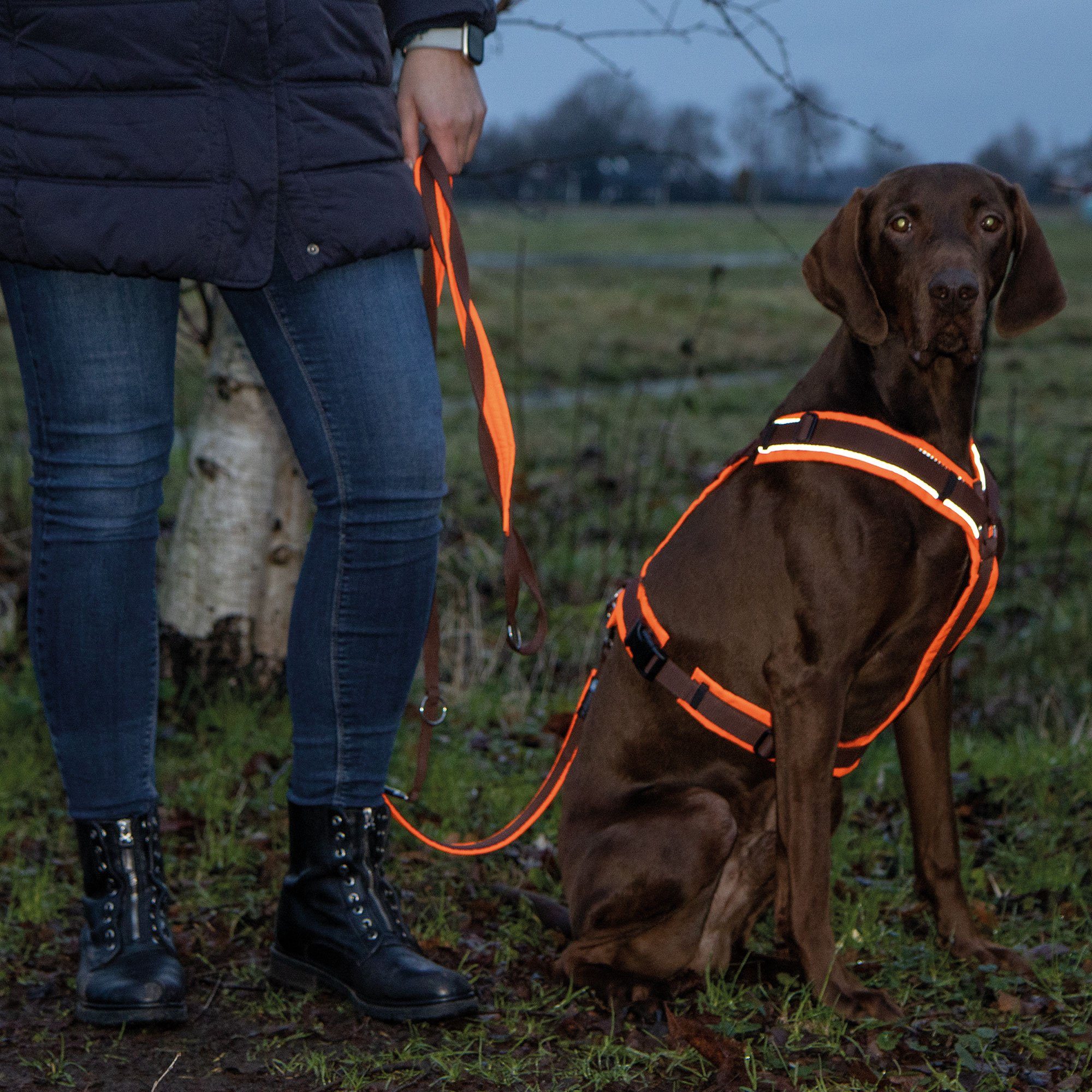 AnnyX Hunde-Geschirr Brustgeschirr Protect - gut günstig online kaufen