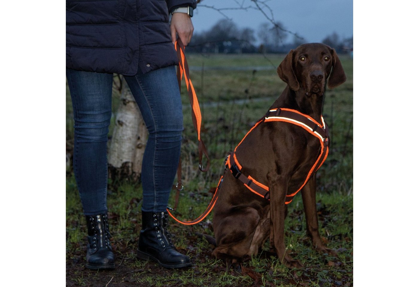 Thumbnail - AnnyX Hunde-Geschirr Brustgeschirr Protect - gut sichtbar - einstellbar, Nylon, Gut sichtbar