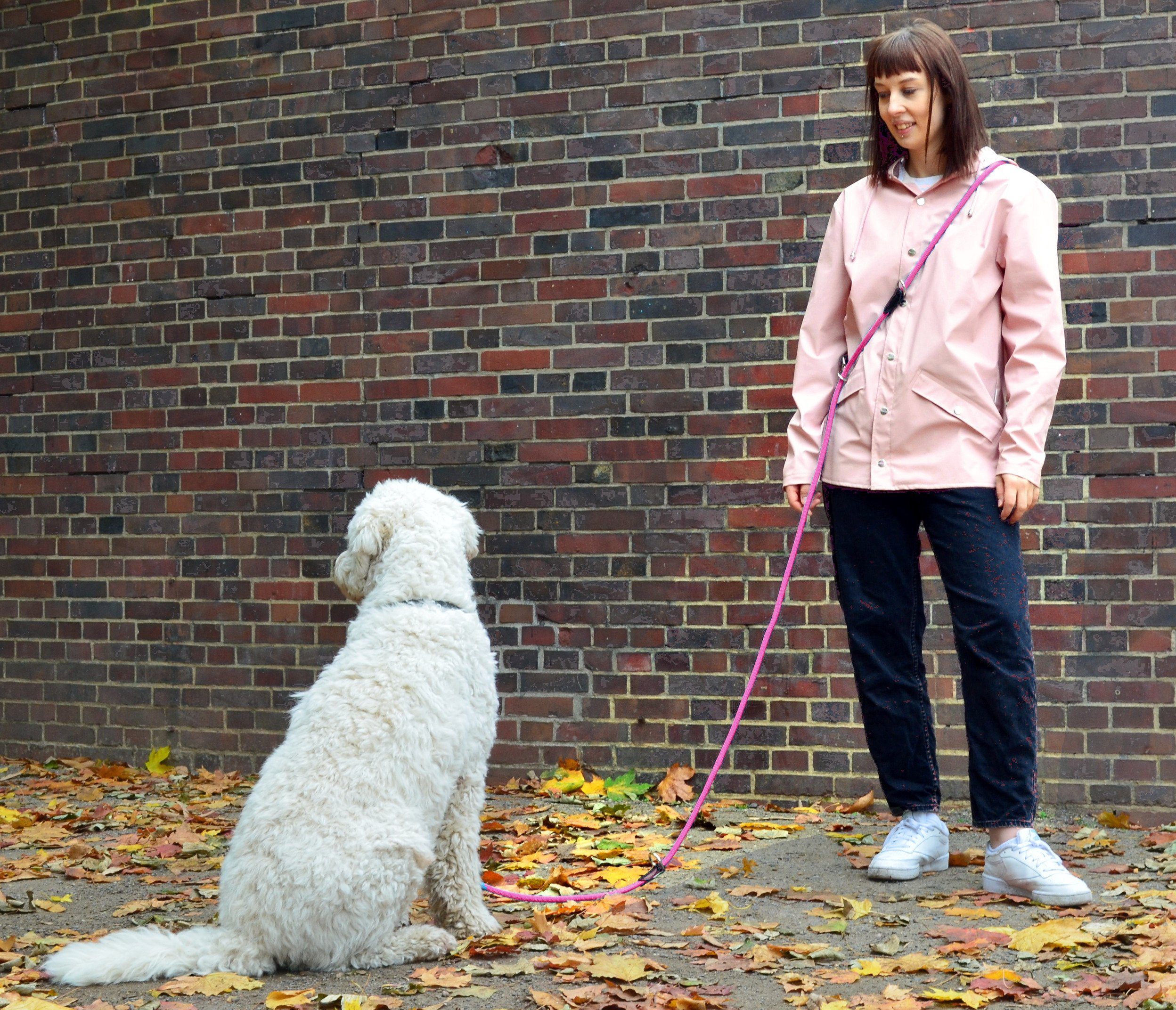 Leisegrün Hundeleine für große Hunde, 3m, 3-fach verstellbar, Nylon, Doppelleine für 2 Hunde, Führleine, Freihandleine, Trainingsleine – Bild 4 von 5