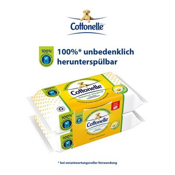 Cottonelle® Toilettenpapier Feuchtes Toilettenpapier, Kamille & Aloe Vera, 6x Duo, Feuchttücher (Vorratspackung 6 x 84 Tücher), Toilettentücher