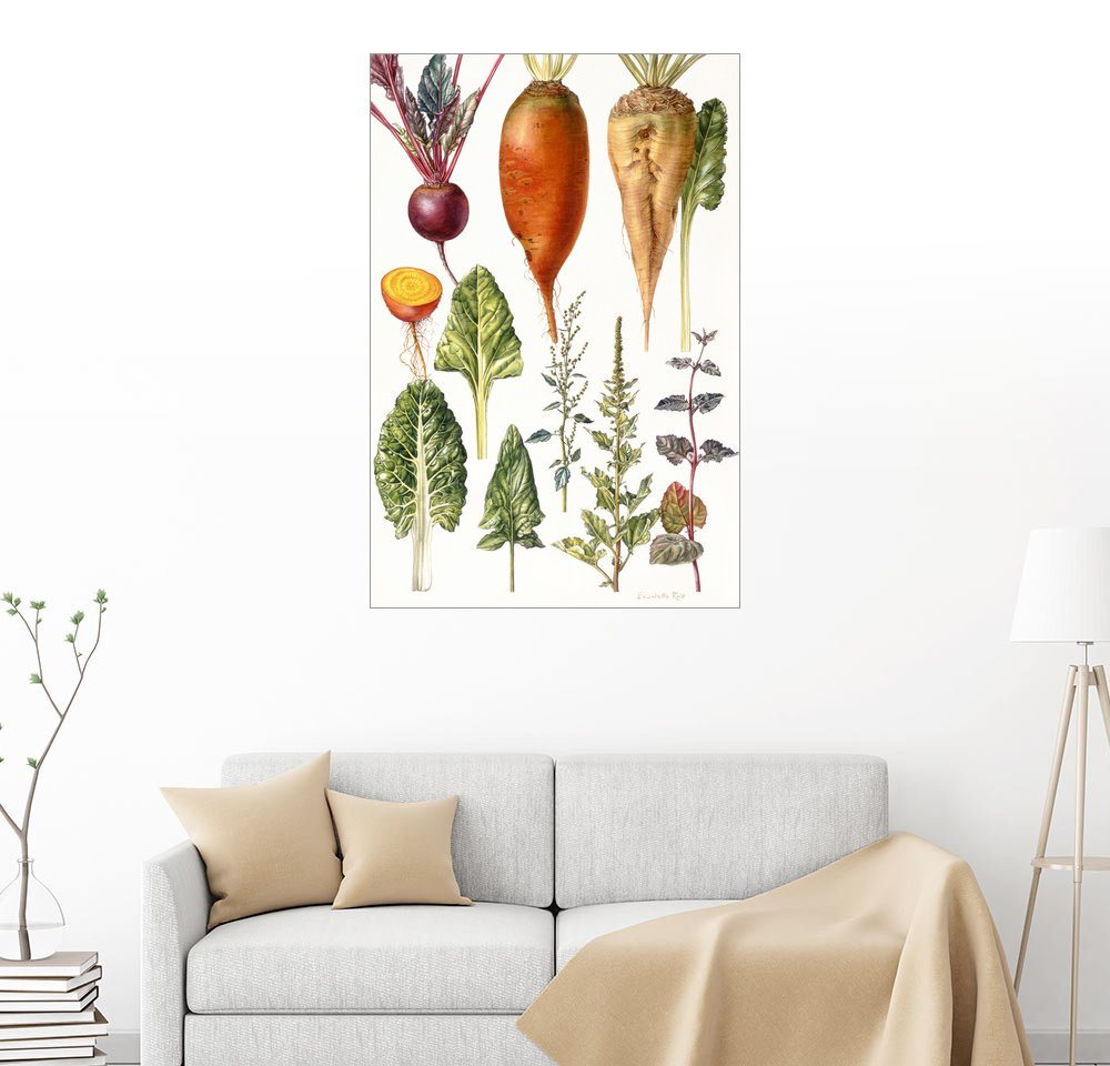 Wandbild - Elizabeth Rice »Rote Beete und anderes Gemüse« Wandbild - Elizabeth Rice »Rote Beete und anderes Gemüse«