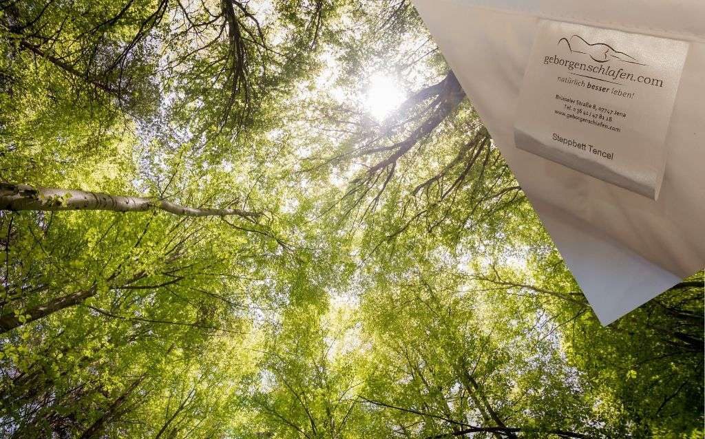 geborgenschlafen Naturfaserbettdecke Vegane Ganzjahres-Bettdecke Tencel™, Füllung: 100 % Tencel, Bezug: Bio-Baumwolle, 100% pflanzlich, Vegan, Feuchtigkeitsregulierend, Hochwertige Qualität