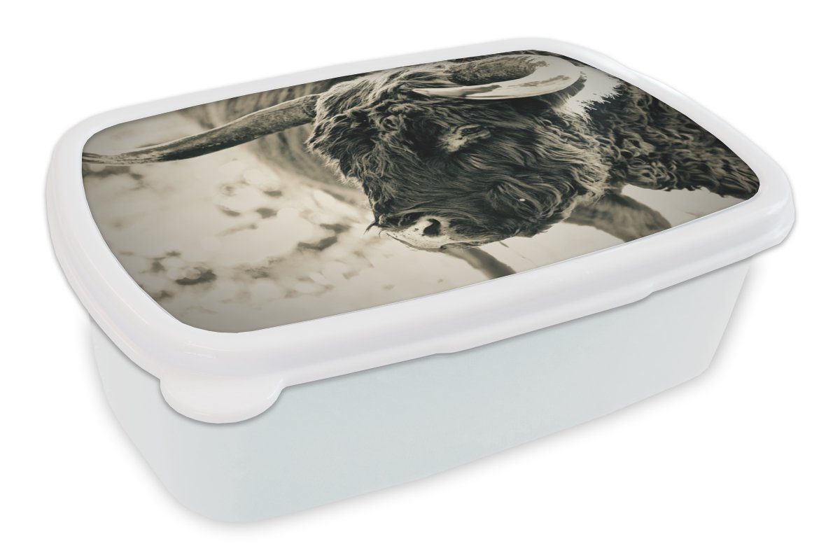 MuchoWow Lunchbox Schottischer Highlander - Schnee - Hörner, Kunststoff, (2-tlg), Brotbox für Kinder und Erwachsene, Brotdose, für Jungs und Mädchen weiß