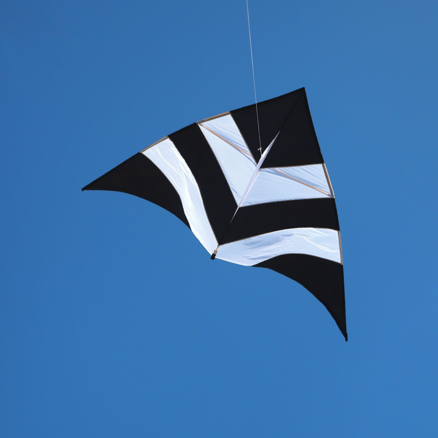 Wolkenstürmer Flug-Drache Delta Einleinerdrachen Ready to Fly Outdoor Kite, (Stabiler Freizeitdrachen 300 cm ready to fly ab 12 Jahren, 1-tlg), Einleiner Lifter Kite schwarz-weiß mit 55 m Schnur