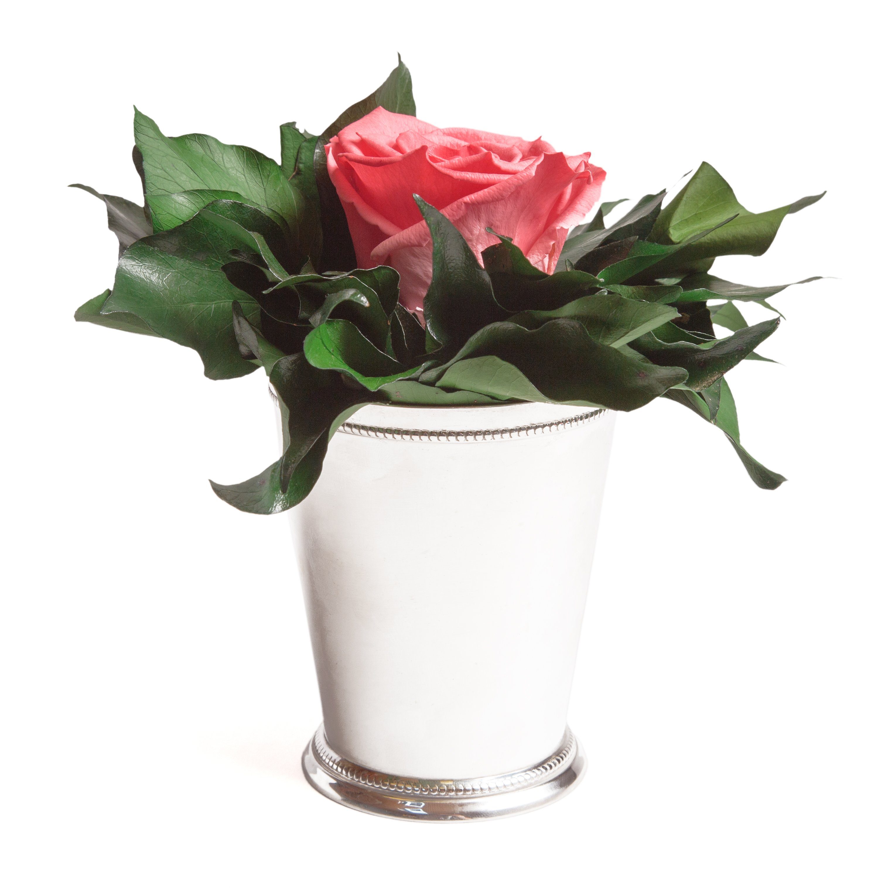 Künstliche Zimmerpflanze 1 Infinity Blume Becher silberfarben Geschenkidee für Frauen Rose, ROSEMARIE SCHULZ Heidelberg, Höhe 12 cm, Echte Rose lange haltbar Korall