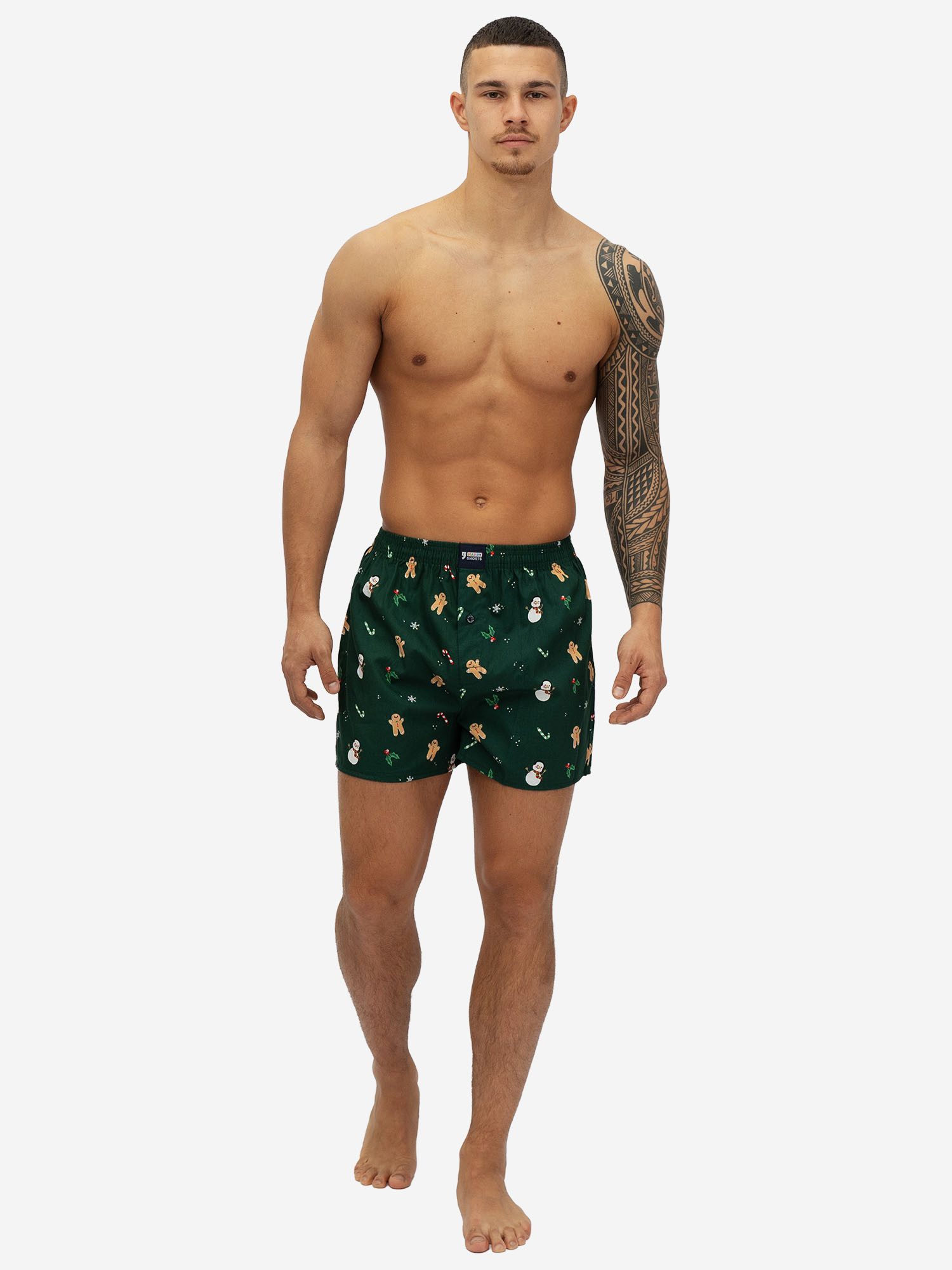 Boxer Christmas