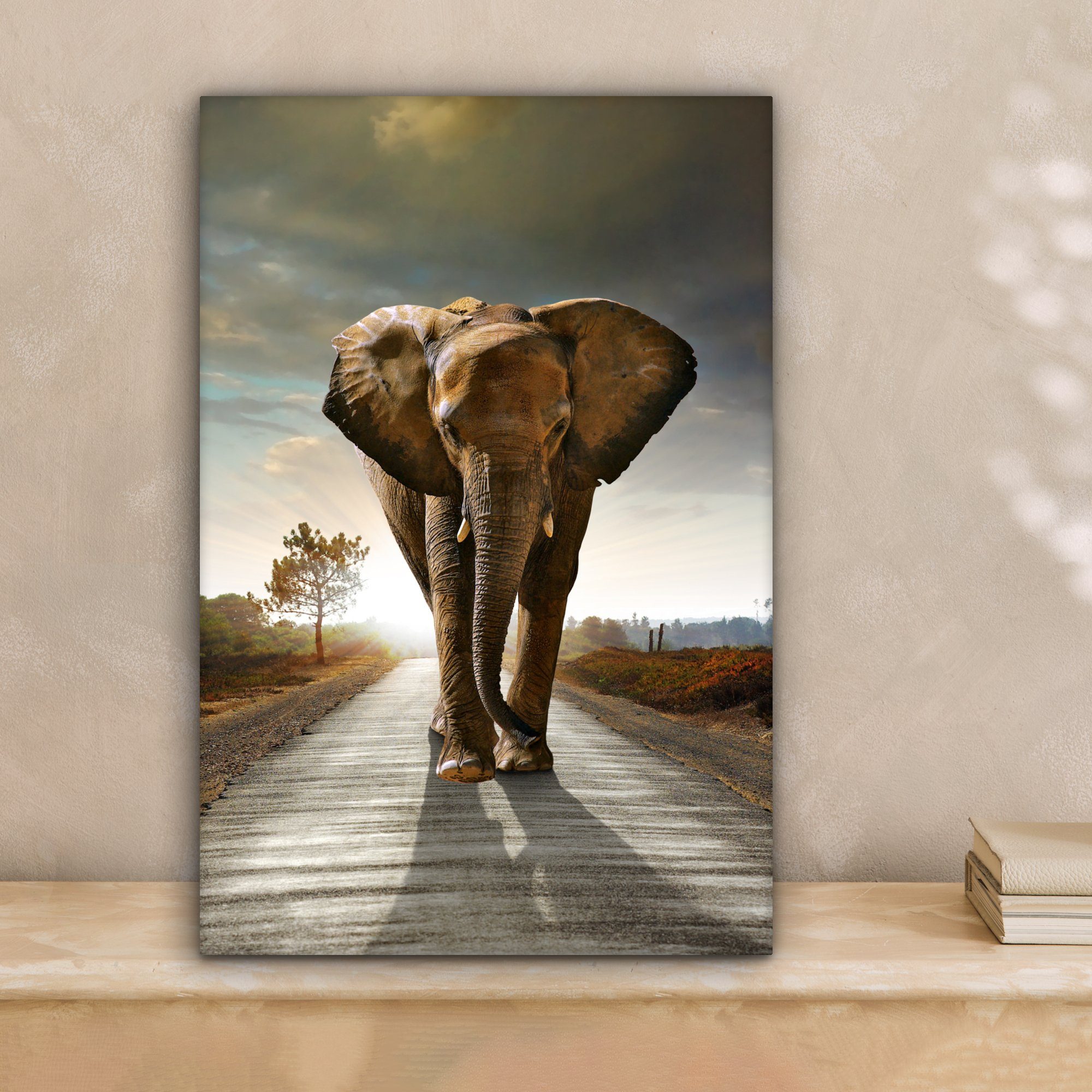 OneMillionCanvasses® Leinwandbild Elefant - Straße - Tiere - Sonnenuntergan günstig online kaufen