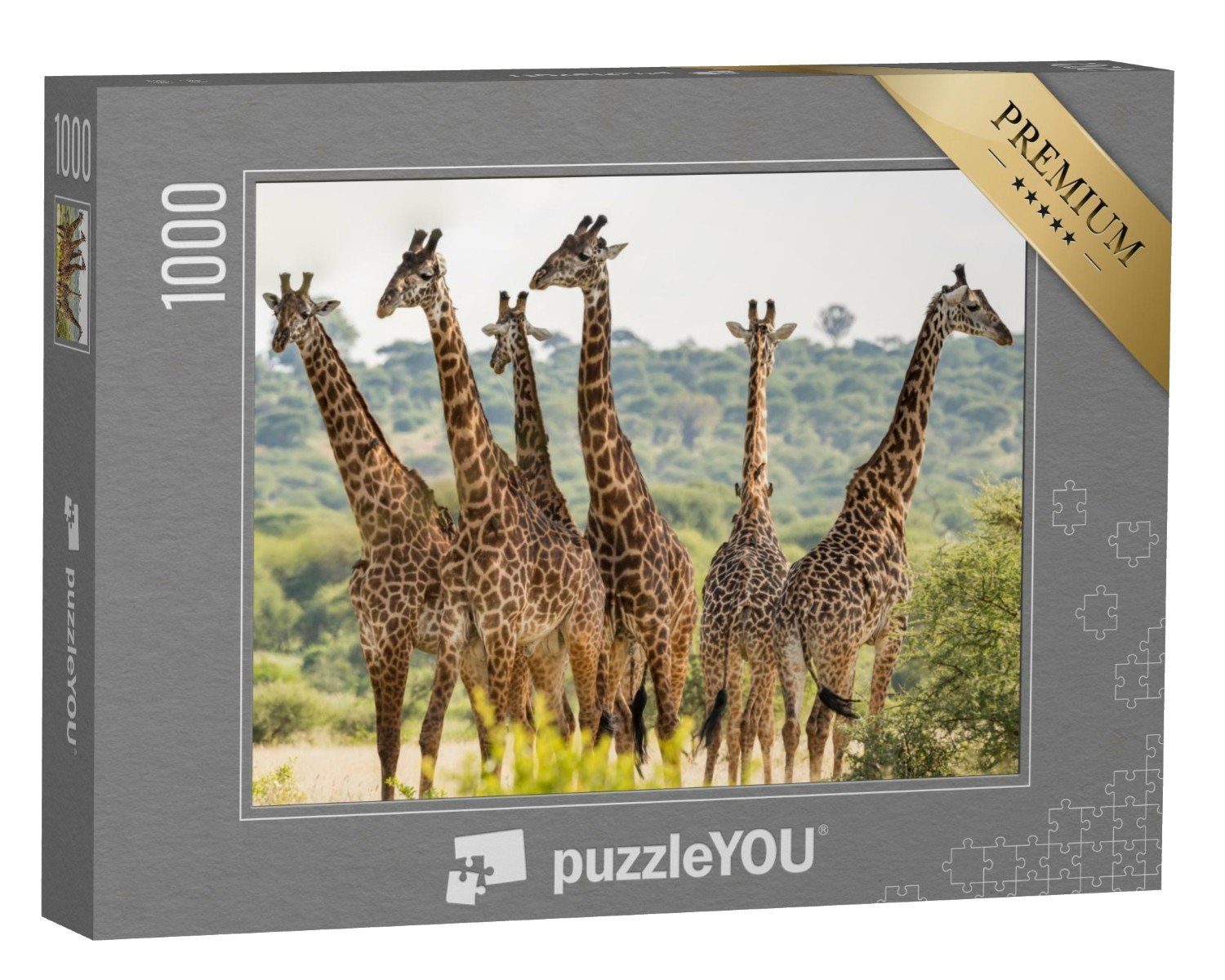 puzzleYOU Puzzle Giraffenherde im Tarangire-Nationalpark, Tansania, 1000 Puzzleteile, puzzleYOU-Kollektionen Safari, Giraffen, Tiere in Savanne & Wüste