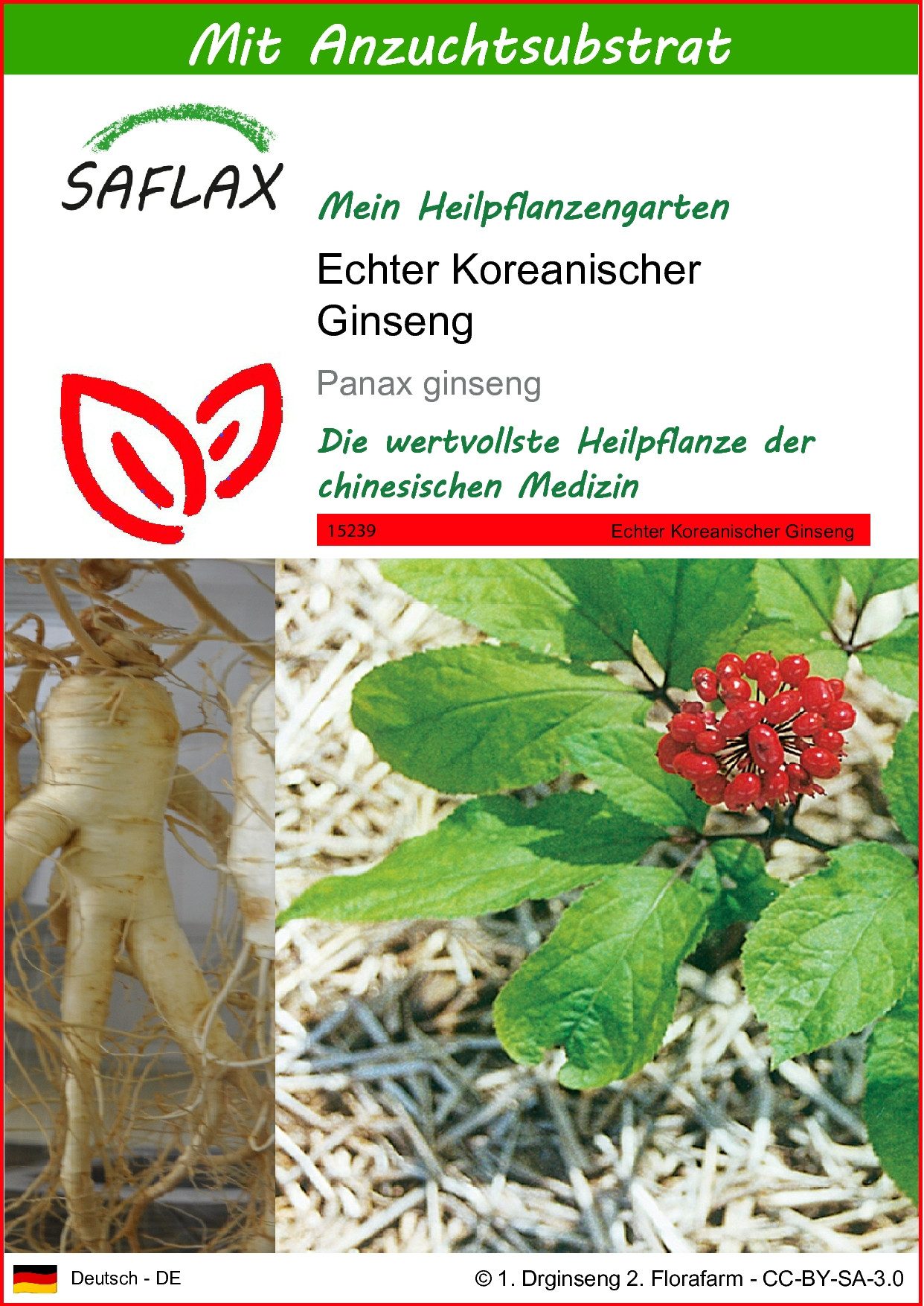SAFLAX Blumensamen SAFLAX - Samen und Substrat - Echter Koreanischer Ginseng