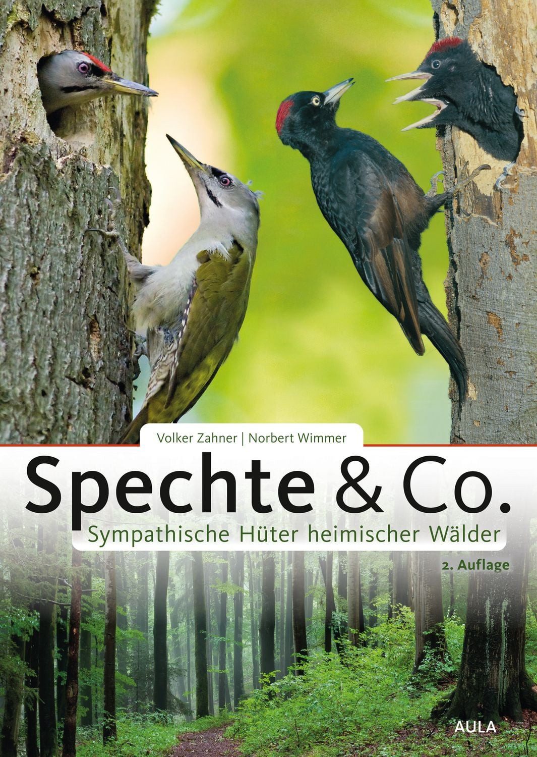 Ratgeber Spechte & Co. Sympathische Hüter heimischer Wälder Volker Zahner, Norbert Wimmer