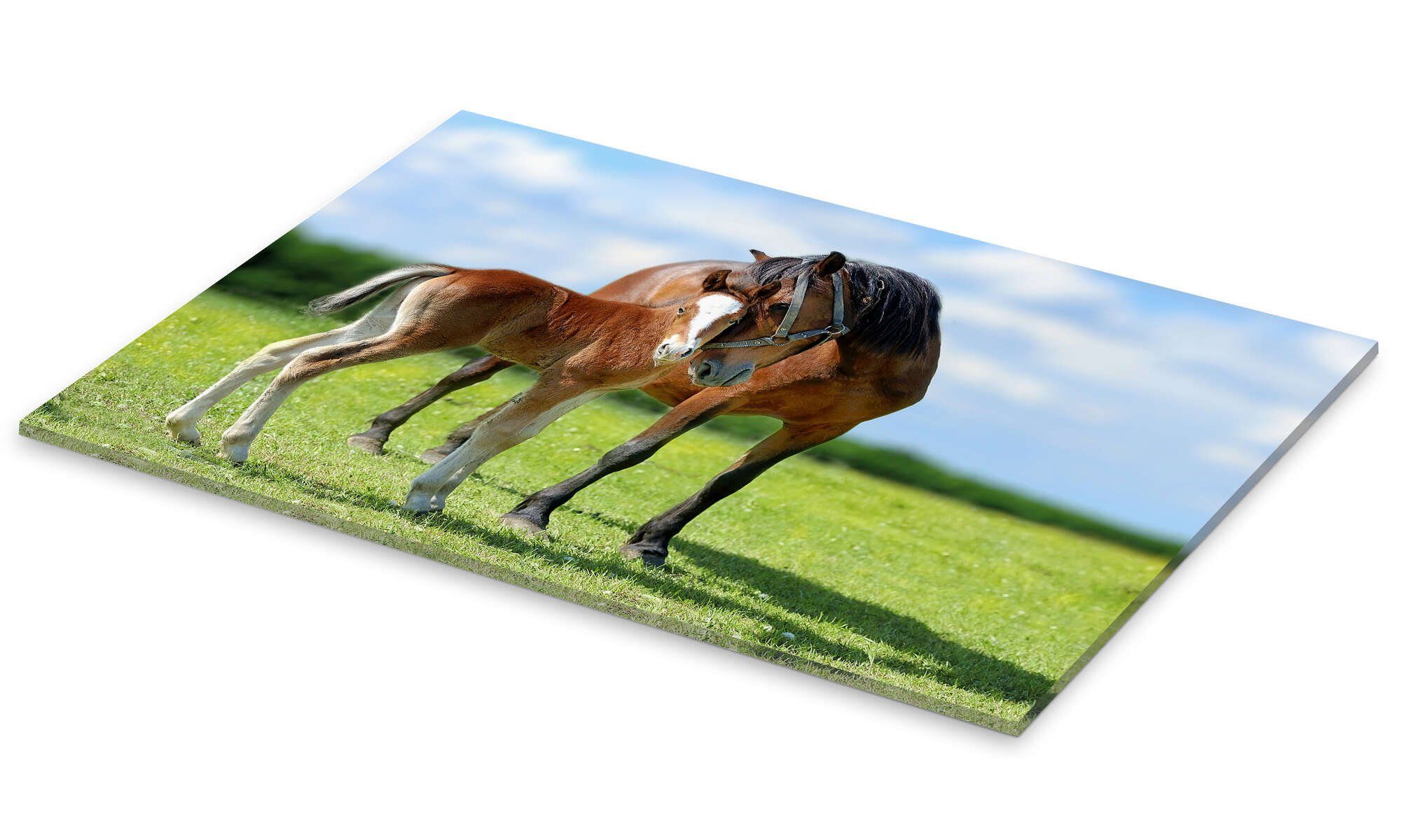 Posterlounge Wandbild Mutterliebe - Stute mit Fohlen, Editors Choice, erhältlich als Poster, Leinwandbild, Wandsticker oder Acrylglasbild