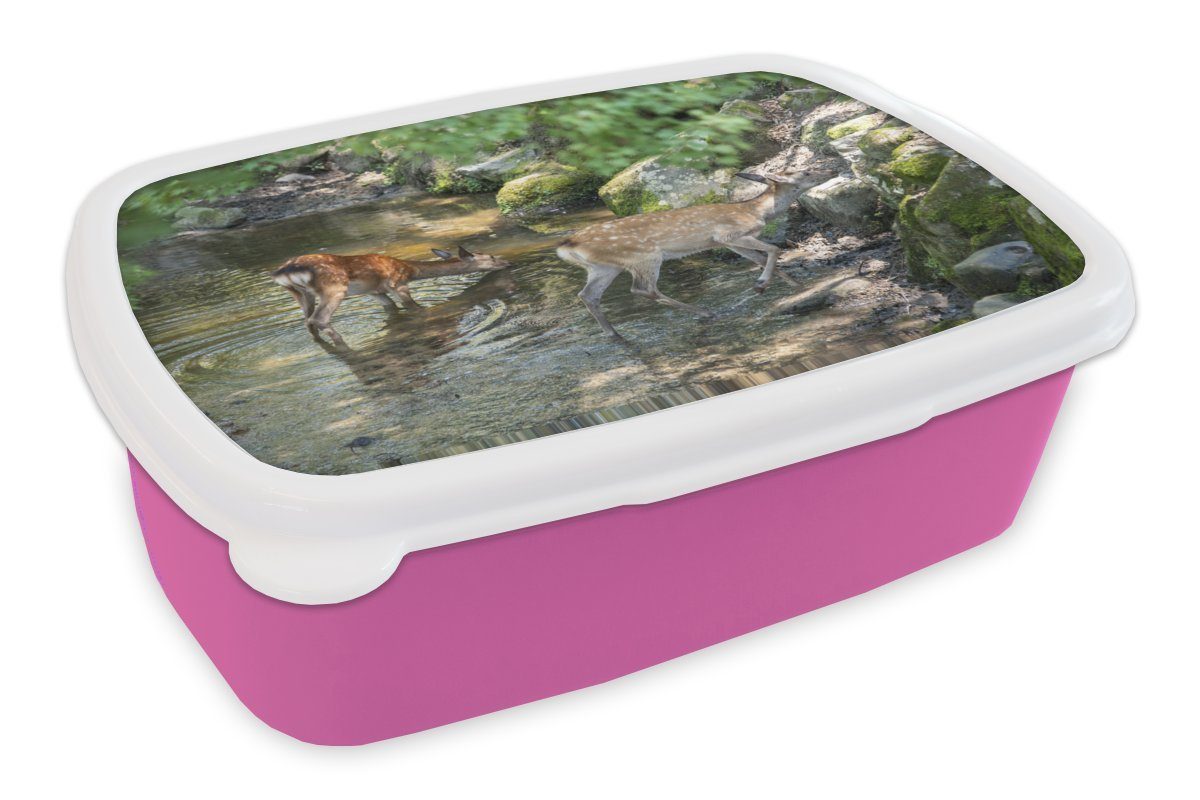 MuchoWow Lunchbox Hirsche - Wasser - Moos, Kunststoff, (2-tlg), Brotbox für Erwachsene, Brotdose Kinder, Snackbox, Mädchen, Kunststoff rosa