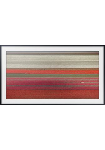 Решетка для матраса »The Frame&l...
