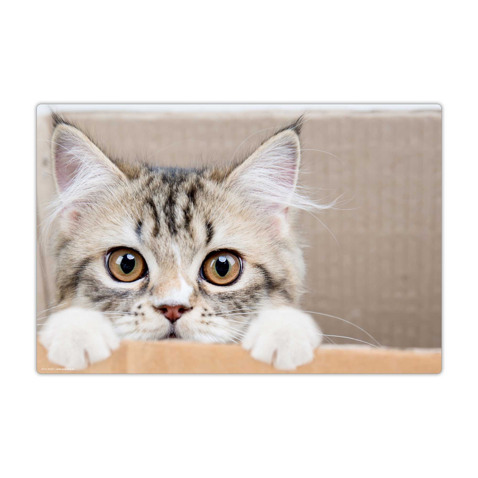 cover-your-desk.de Schreibtischunterlage abwaschbar – Maine Coon Kätzchen – aus premium Vinyl – Made in Germany, (60 x 40 cm und 70 x 50 cm, 1 tlg., aus premium Vinyl)