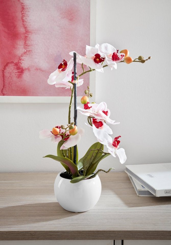 Kunstorchidee Ernestine Orchidee, DELAVITA, Höhe 42 cm, Kunstpflanze, im  Topf