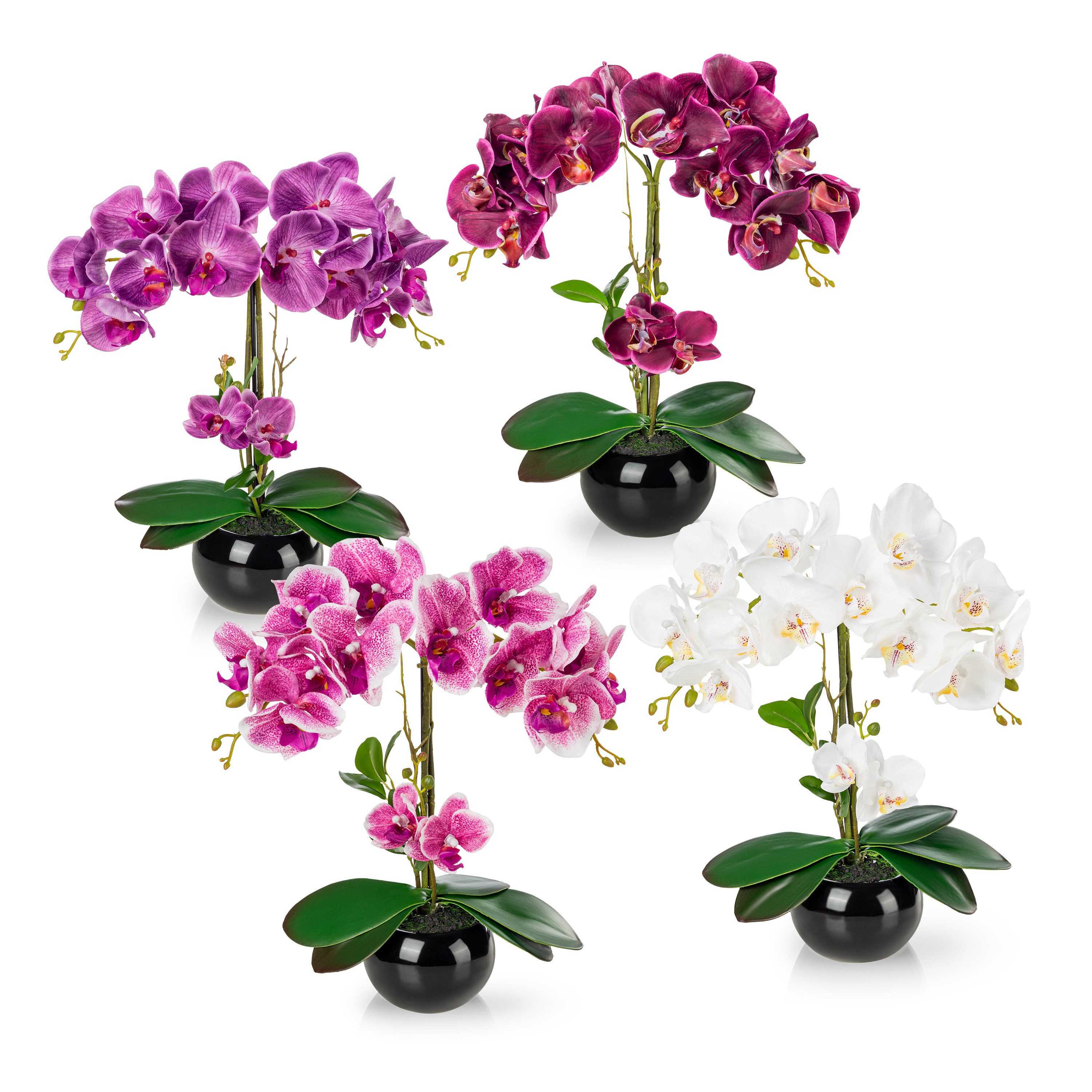Kunstorchidee PASCH® Orchidee künstlich wie echt (40cm) in Hochglanz-Keramiktopf Orchidee, PASCH