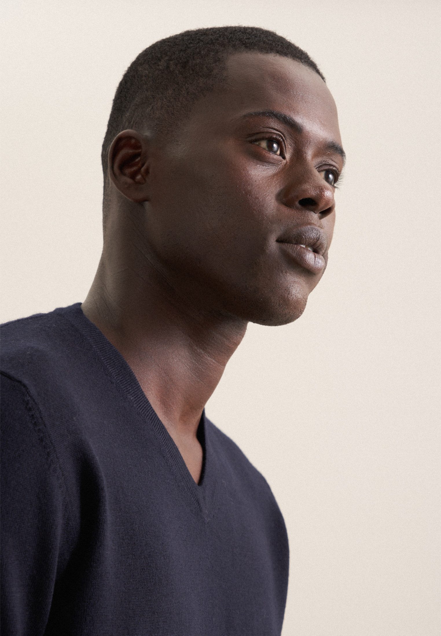 seidensticker Pullunder Schwarze Rose 1/1 V-Neck Uni