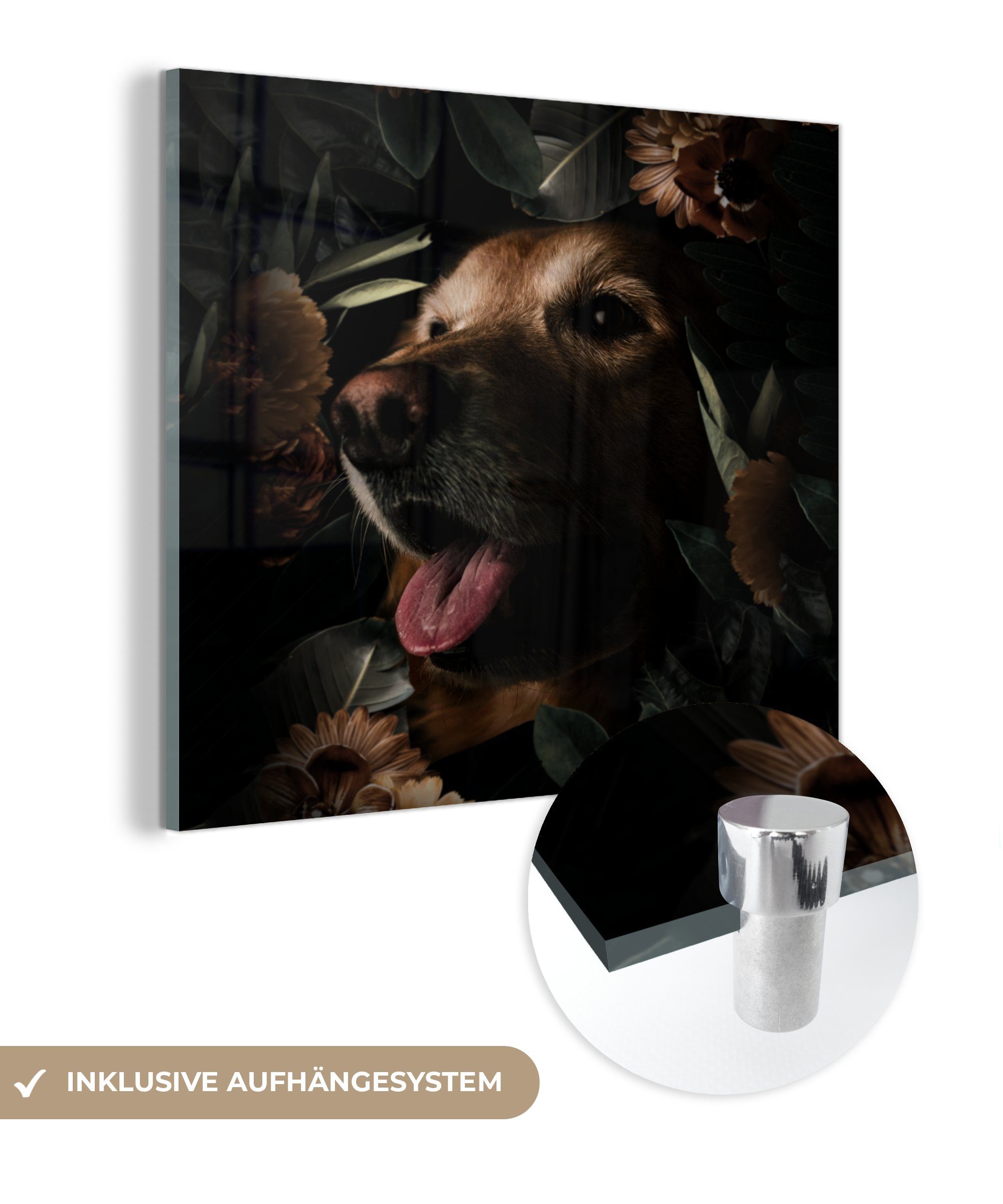 Wandbild St), Glas auf Blumen - Hund - Glasbilder auf MuchoWow - (1 - Botanisch, Glas Acrylglasbild Foto Wanddekoration Bilder -