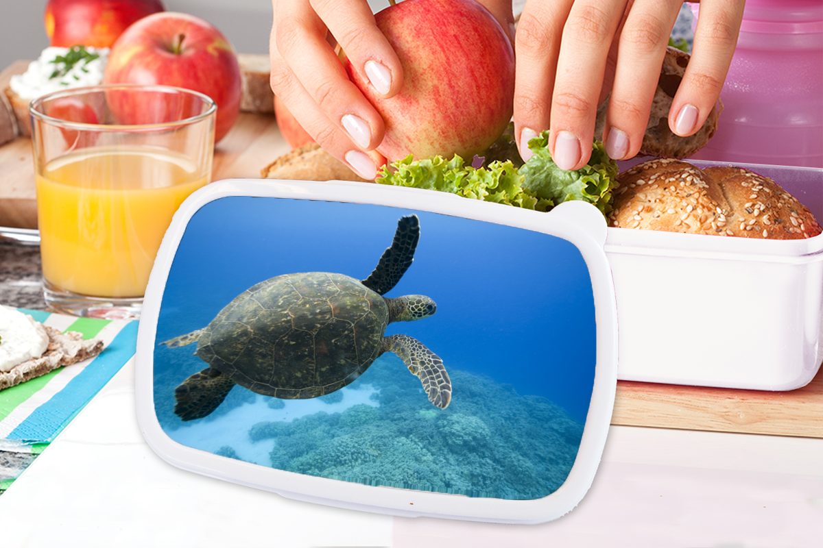 für Brotbox Brotdose, Jungs Kunststoff, Mädchen weiß Lunchbox Erwachsene, MuchoWow schwimmende für und Fotodruck, (2-tlg), Grüne Kinder und Schildkröte