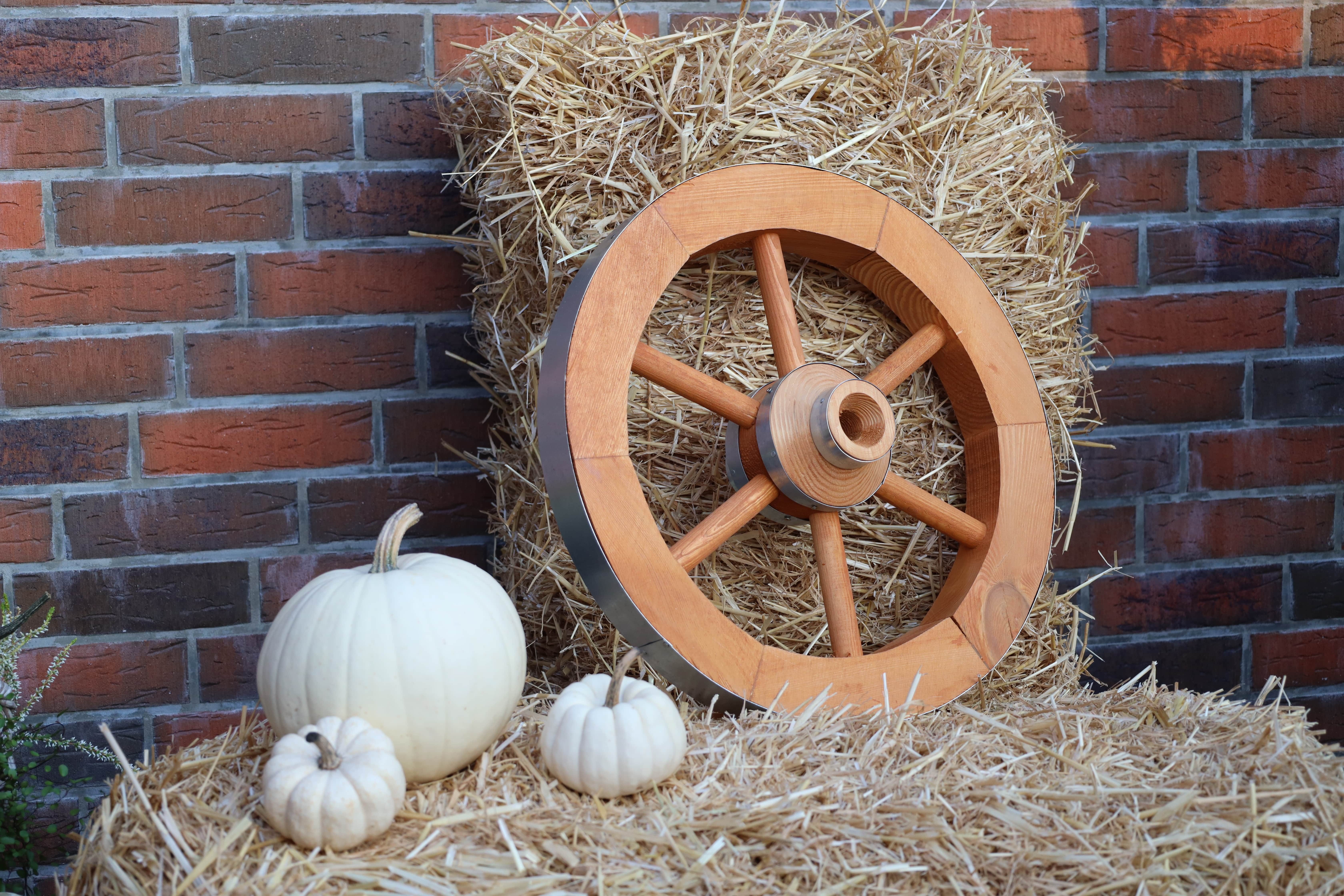promadino Gartenfigur Wagenrad, BxLxH: 50x14x50 cm günstig online kaufen