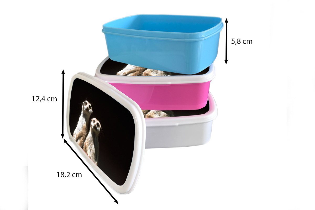 MuchoWow Lunchbox und und Mädchen (2-tlg), Kinder Schwarz Brotbox Tiere, - weiß Erwachsene, Kunststoff, Brotdose, Erdmännchen für - für Jungs