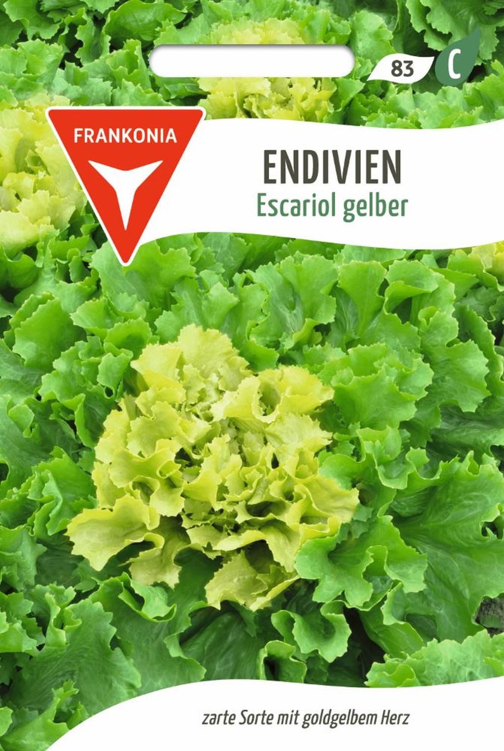 FRANKONIA Gemüsesamen Endivie, Escariol gelber - Saatgut Samen, Cichorium endivia