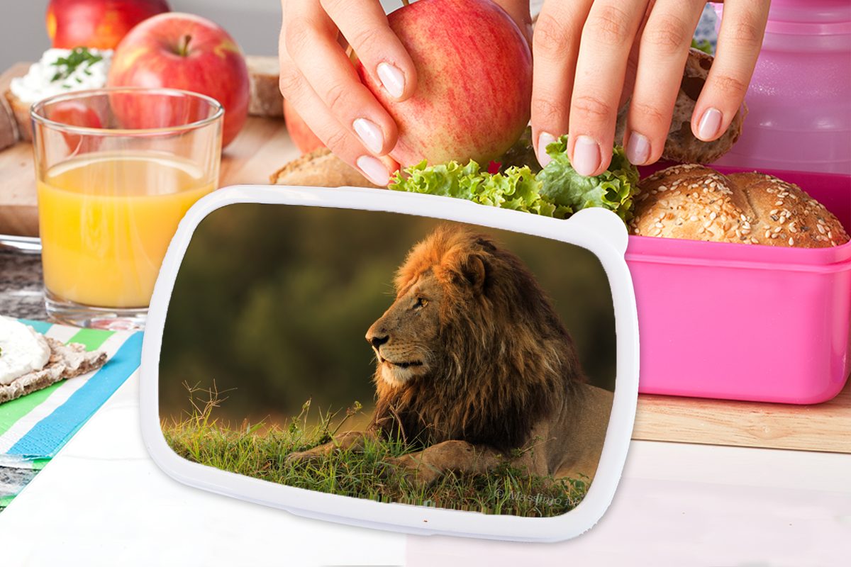 (2-tlg), rosa Kunststoff, für Erwachsene, Sonnenaufgang Kunststoff Gras, - Lunchbox Löwe MuchoWow Kinder, Snackbox, Mädchen, - Brotbox Brotdose