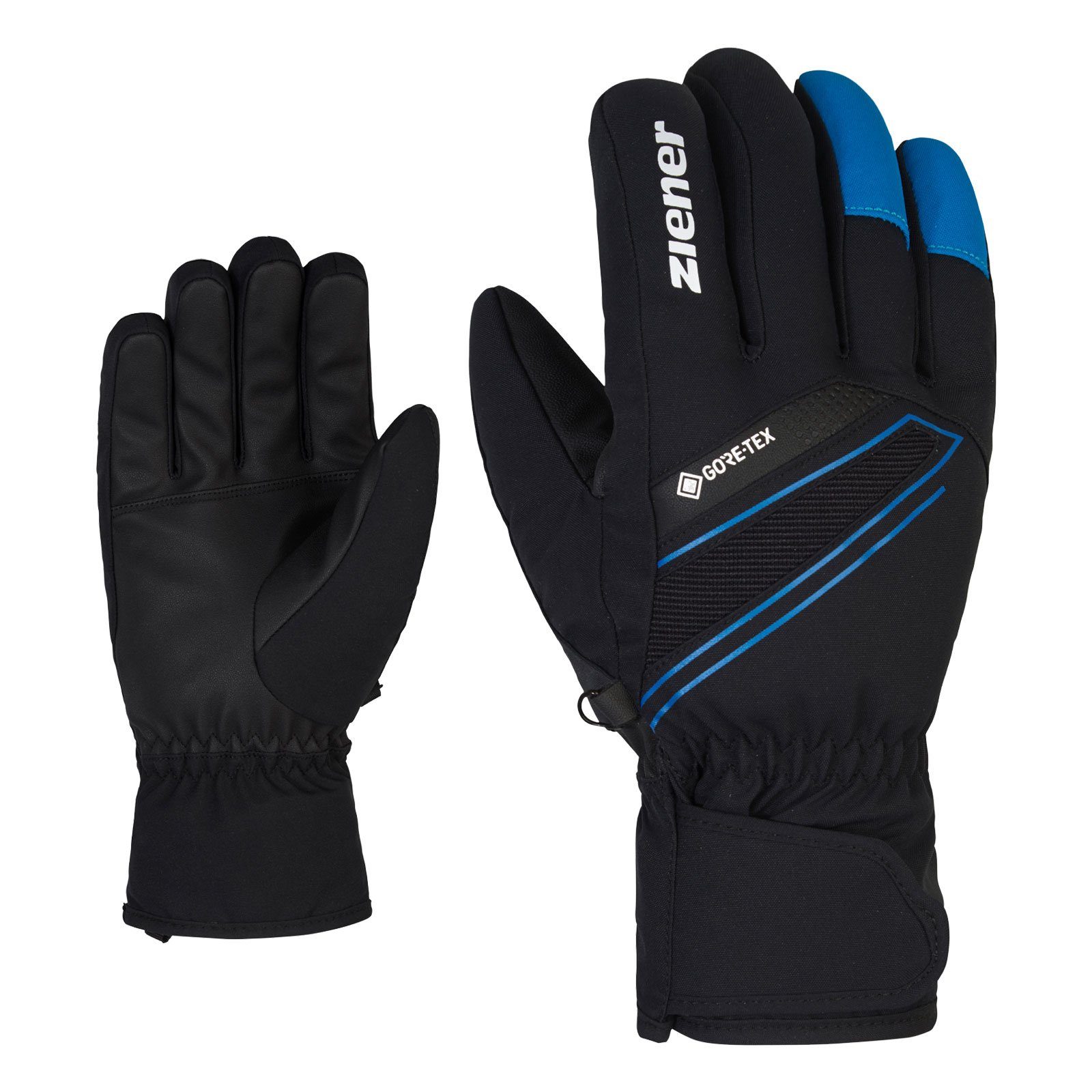 12798 black persian blue