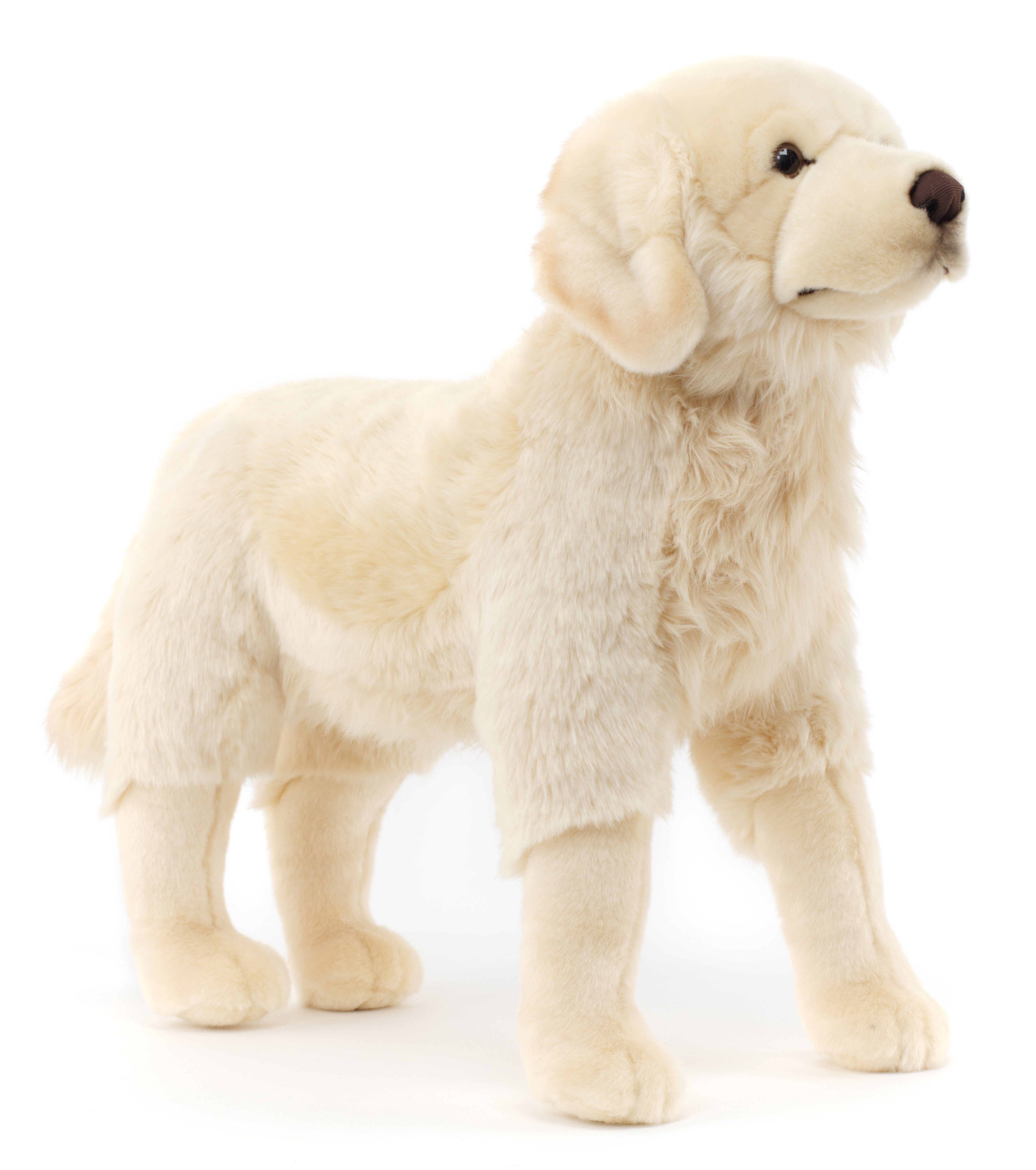Uni-Toys Kuscheltier Golden Retriever "Joy", stehend - Höhe 50 cm - Plüsch-Hund, Plüschtier, zu 100 % recyceltes Füllmaterial