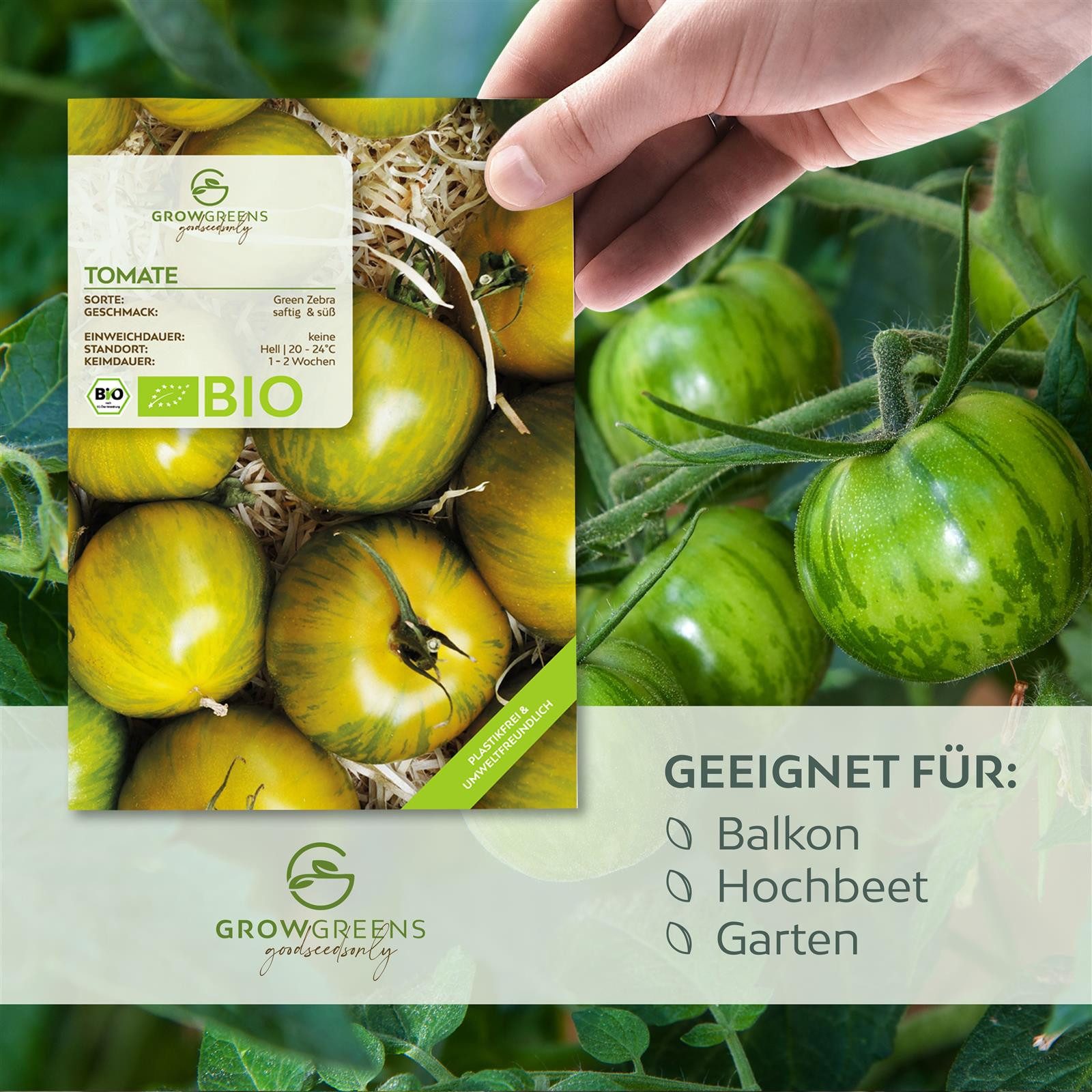 Growgreens Gemüsesamen BIO Tomatensamen (Green Zebra) günstig online kaufen