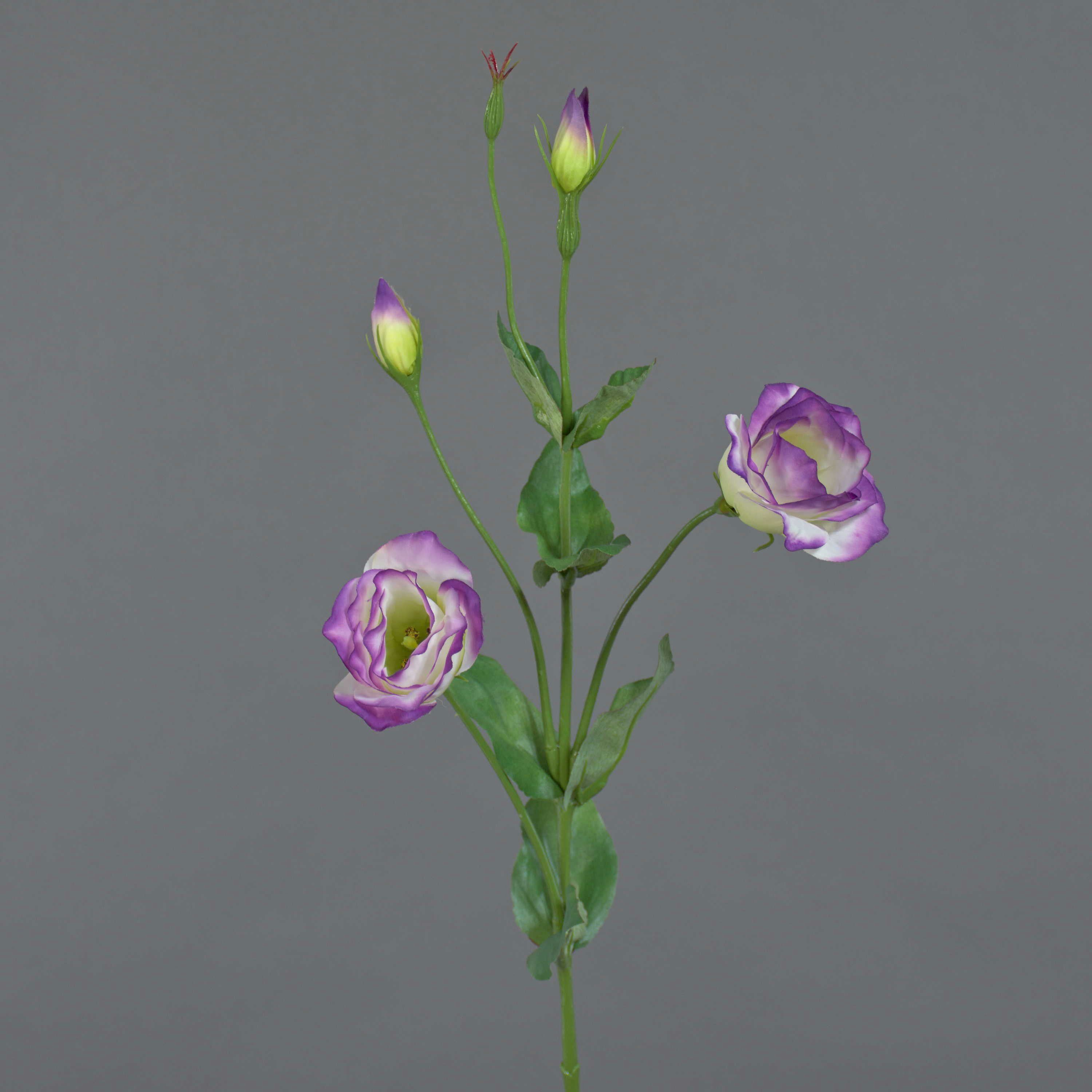 Kunstzweig Künstliche Blume Lisianthus JUDIKA, violett Lisianthus, artplants, Höhe 70.0 cm