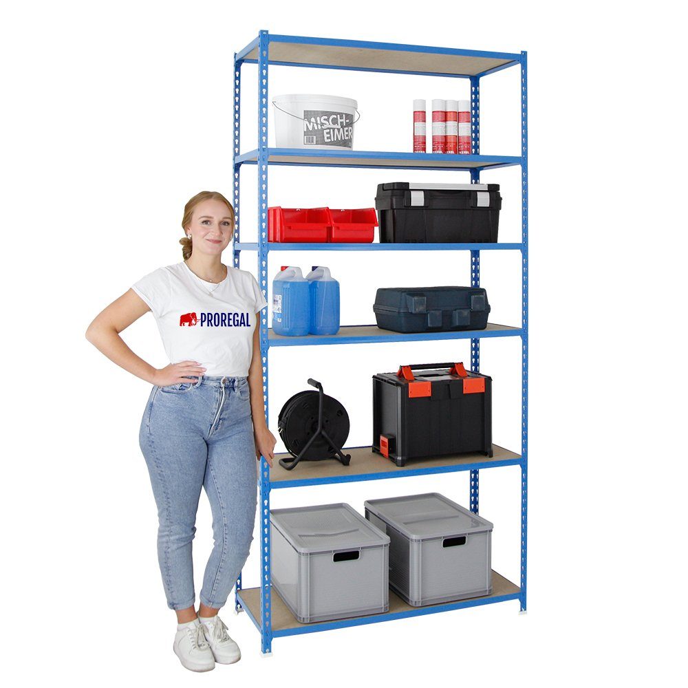 PROREGAL® Schwerlastregal GIANT MULI 250x80x30cm 6 günstig online kaufen