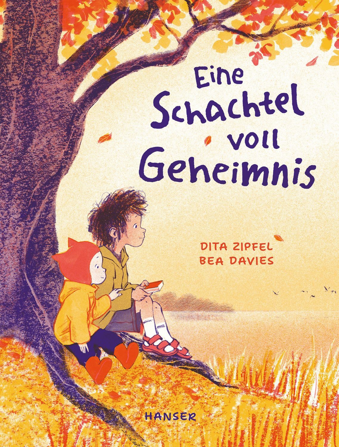 Eine Schachtel voll Geheimnis / Dita Zipfel, Bea Davies