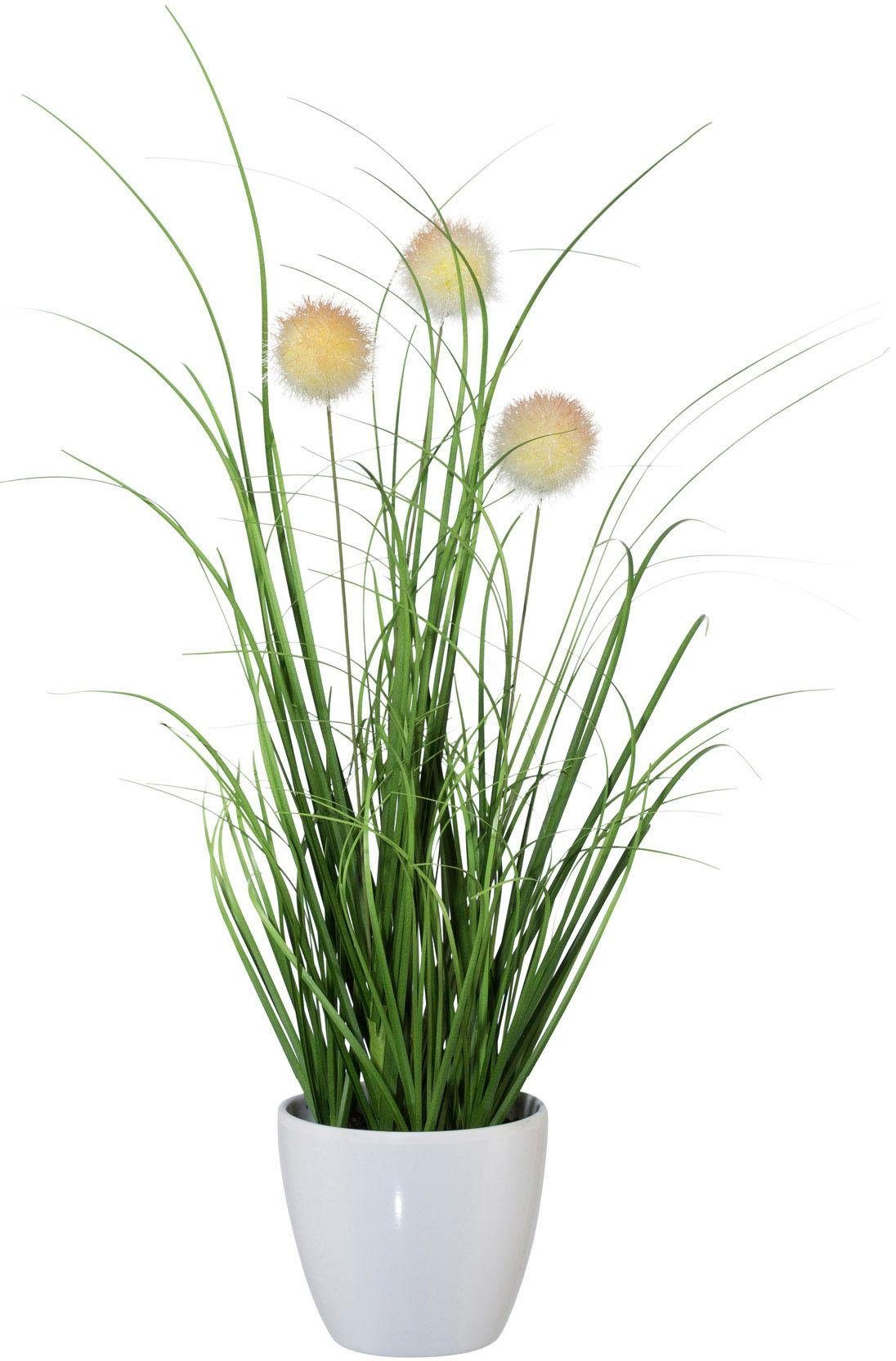 Kunstgras Grasbusch, naturgetreue Kunstpflanze, 35cm hoch, OTTO home, Höhe 35 cm, im 3 teiligen Set, mit Übertopf wahlweise in schwarz oder weiß