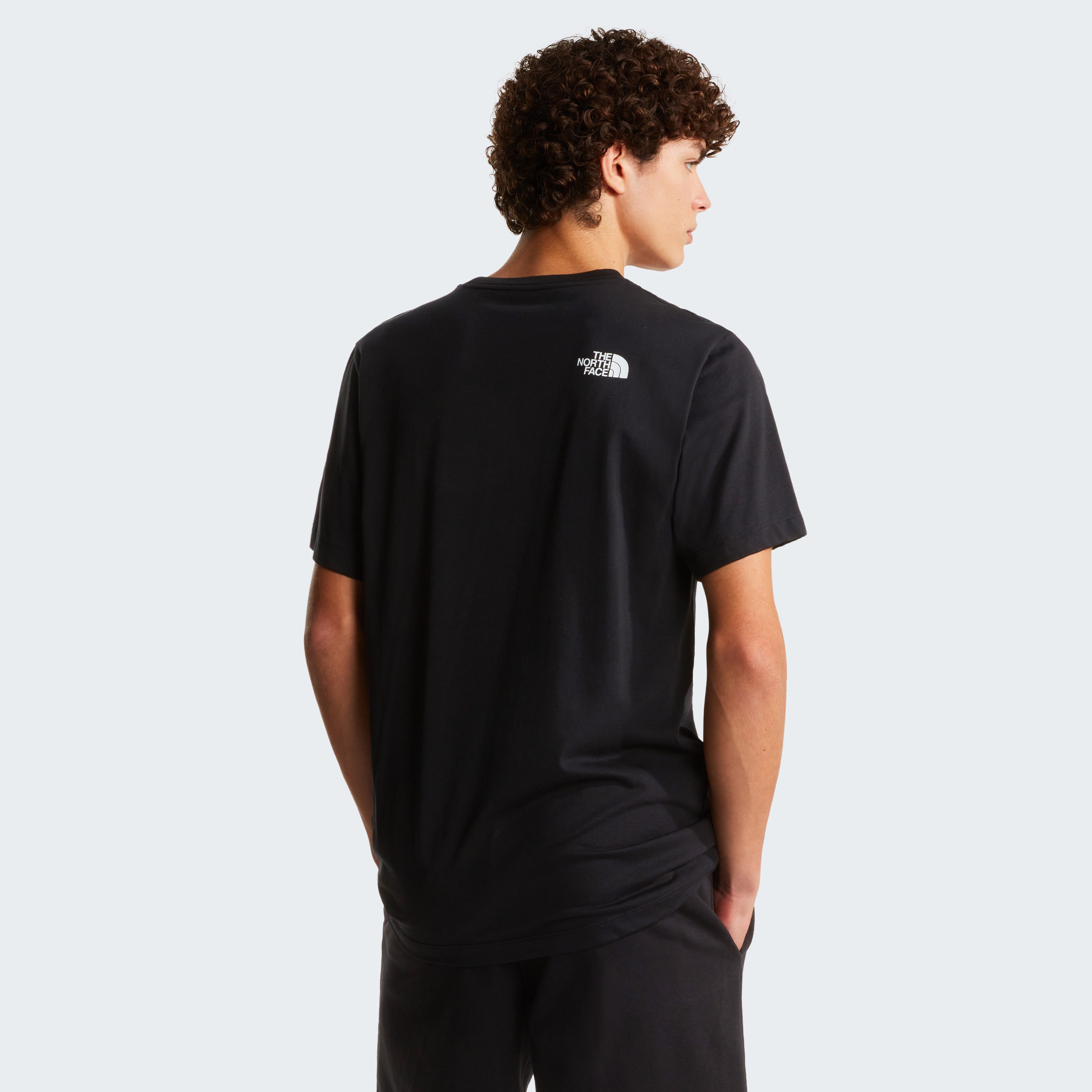 The North Face T-Shirt M EVOLUTION BOX HALF DOME REGULAR SHORT SLEEVE TEE n günstig online kaufen