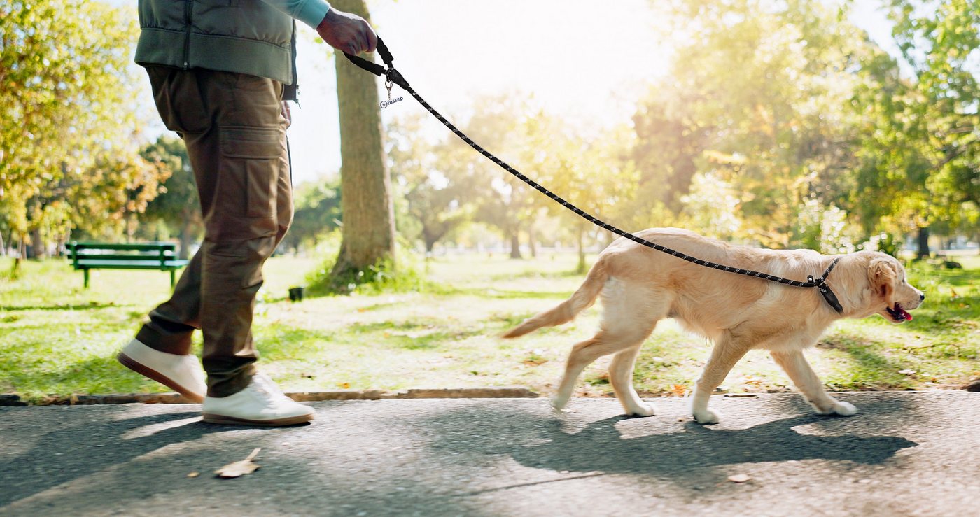 Thumbnail - Fussep Hundeleine 2 Meter Moxonleine mit Zugstopp für Hunde von 7 bis 20 kg, Aus strapazierfähigem Nylon, Reflektierend,...