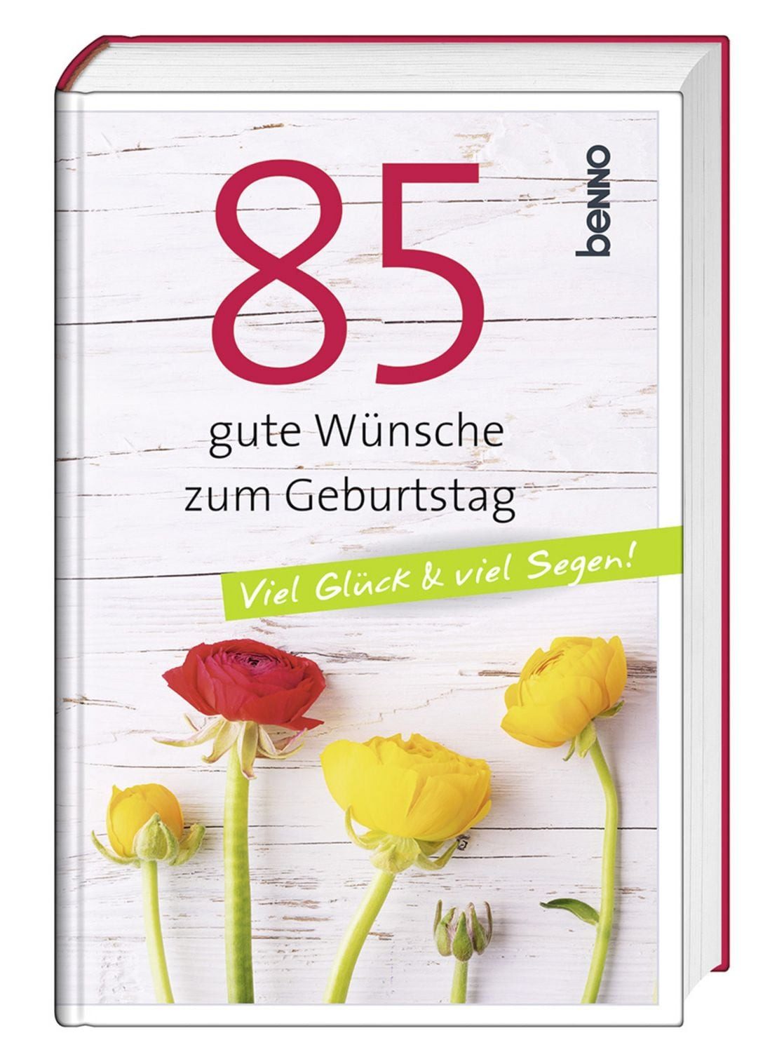 85 gute Wünsche zum Geburtstag / diverse